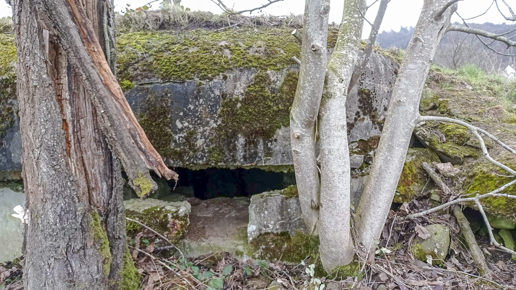 Ligne Maginot - PFAFFENBRONN 7 - (Blockhaus pour arme infanterie) - Détail du créneau gauche - Baptiste Gaudin