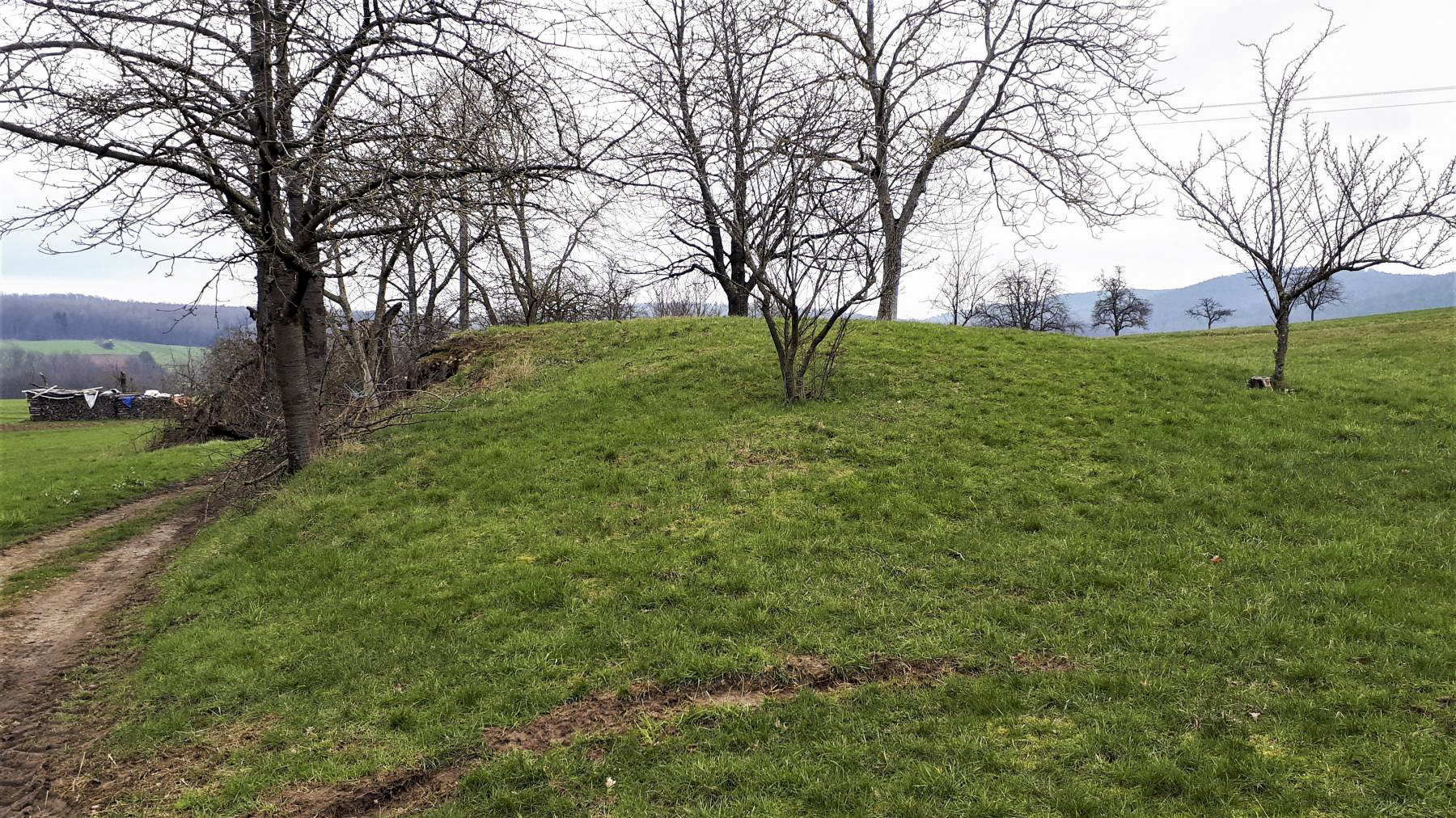 Ligne Maginot - PFAFFENBRONN 7 - (Blockhaus pour arme infanterie) - L'entrée remblayée