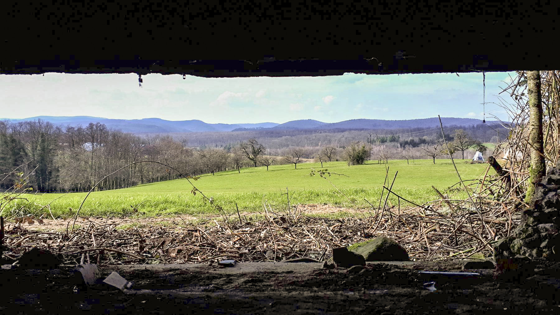 Ligne Maginot - PFAFFENBRONN 7 - (Blockhaus pour arme infanterie) - Vue depuis le créneau mitrailleuse de droite