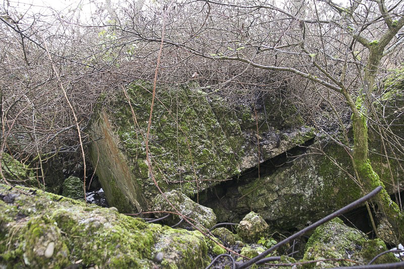 Ligne Maginot - PFAFFENBRONN 9 - (Blockhaus de type indéterminé) - Ce qu'il en reste...