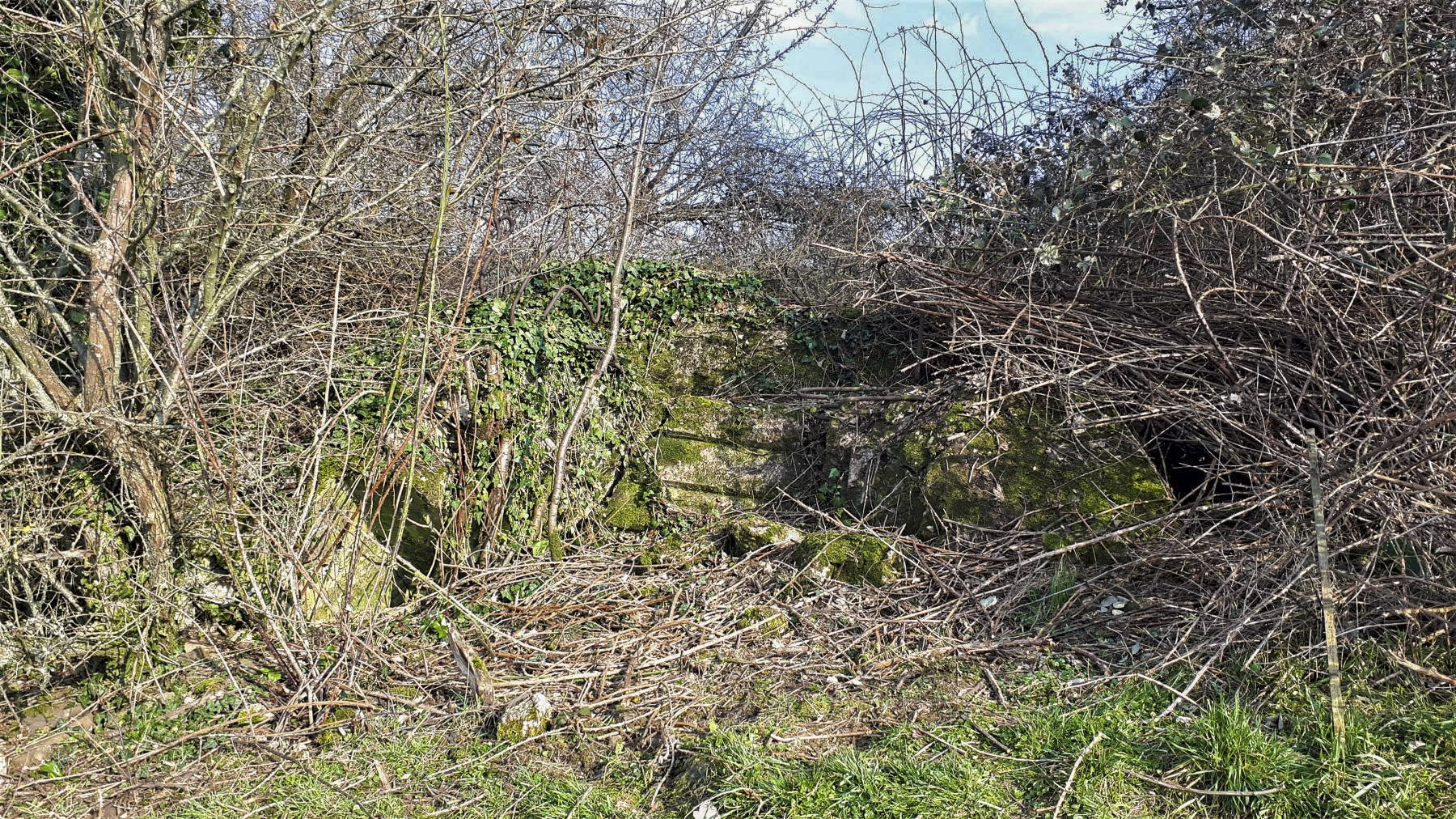 Ligne Maginot - PFAFFENBRONN 9 - (Blockhaus pour arme infanterie) - Le créneau en partie visible