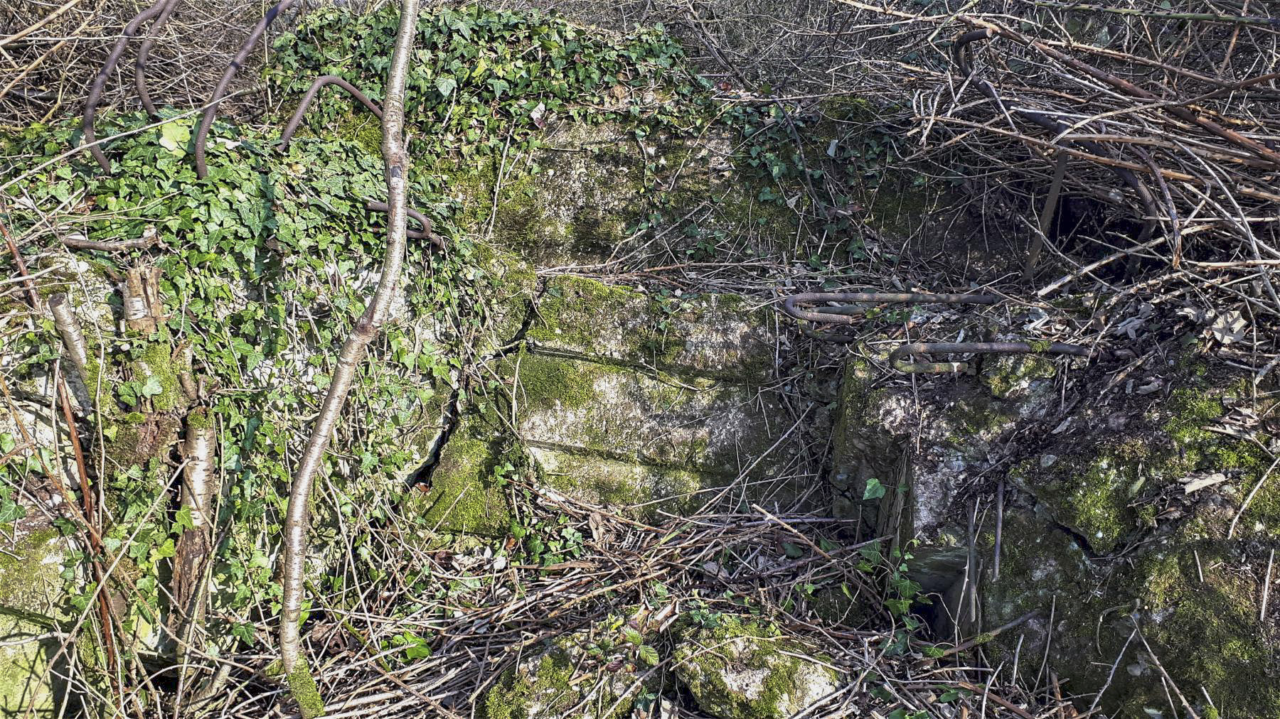 Ligne Maginot - PFAFFENBRONN 9 - (Blockhaus pour arme infanterie) - Détail du créneau