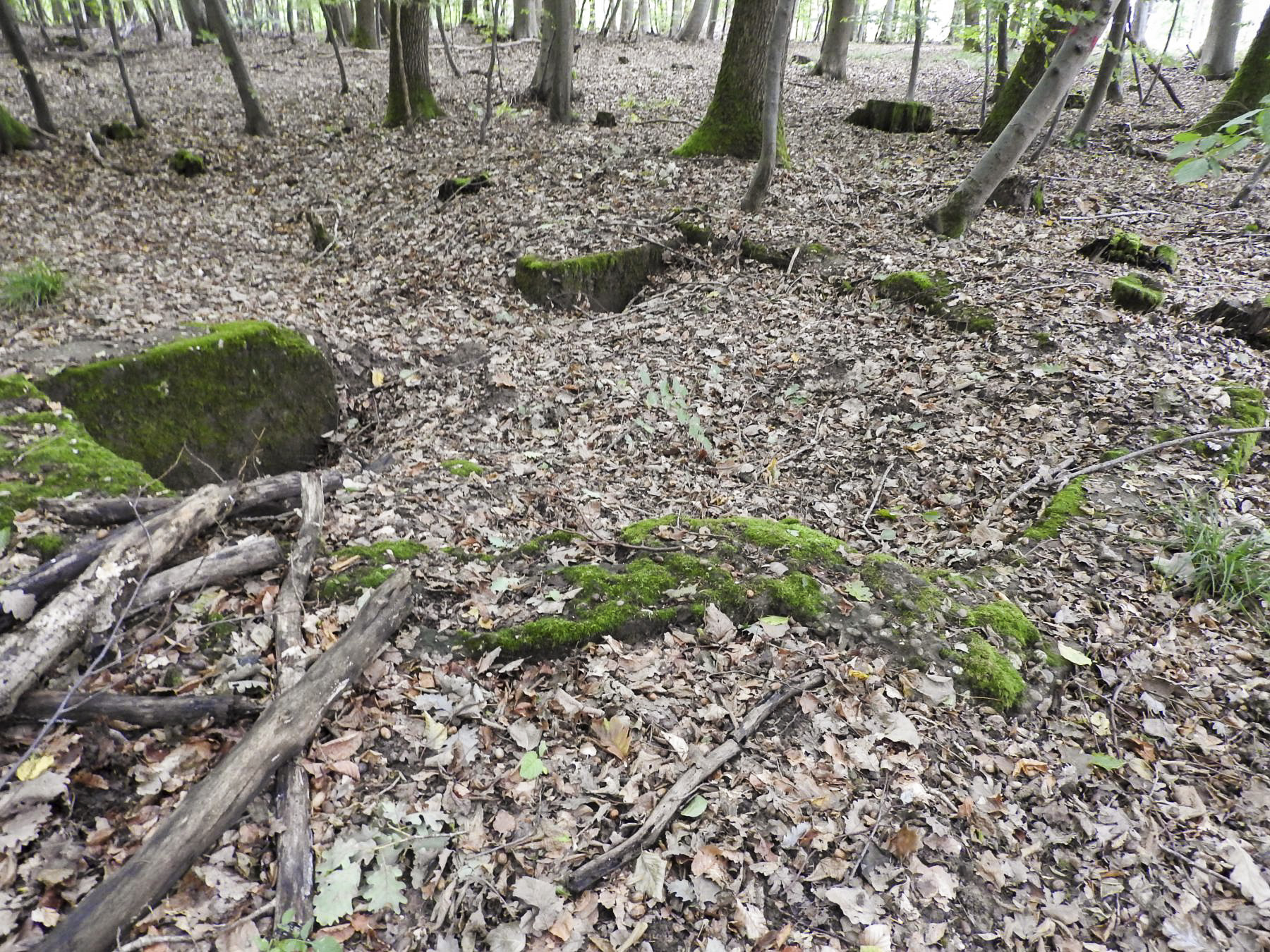 Ligne Maginot - ROTTENWALD 2 - (Cuve pour canon) - Les restes en partie remblayés de la cuve - STENGER Mathieu