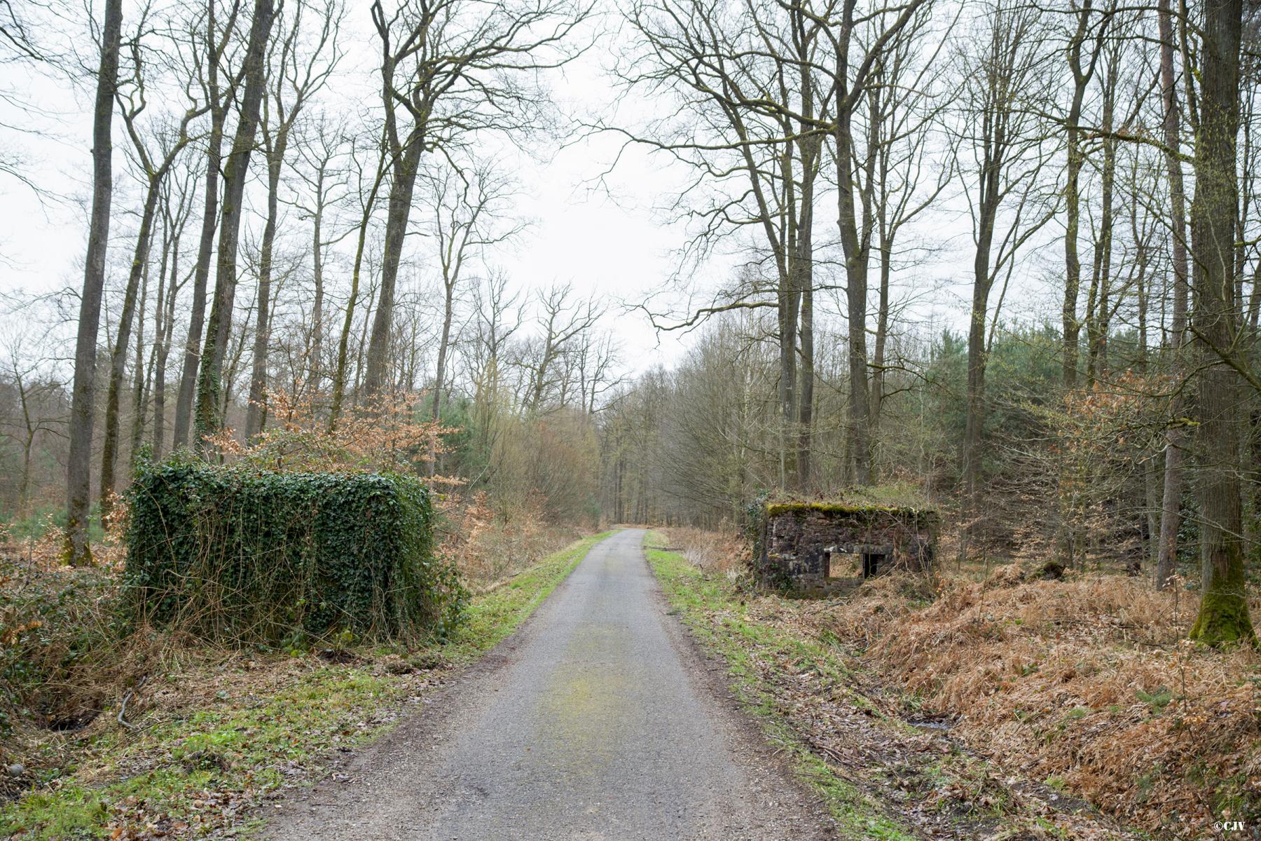 Ligne Maginot - ROUTE FORESTIERE DE LAUBACH 1 - (Blockhaus pour arme infanterie) - 