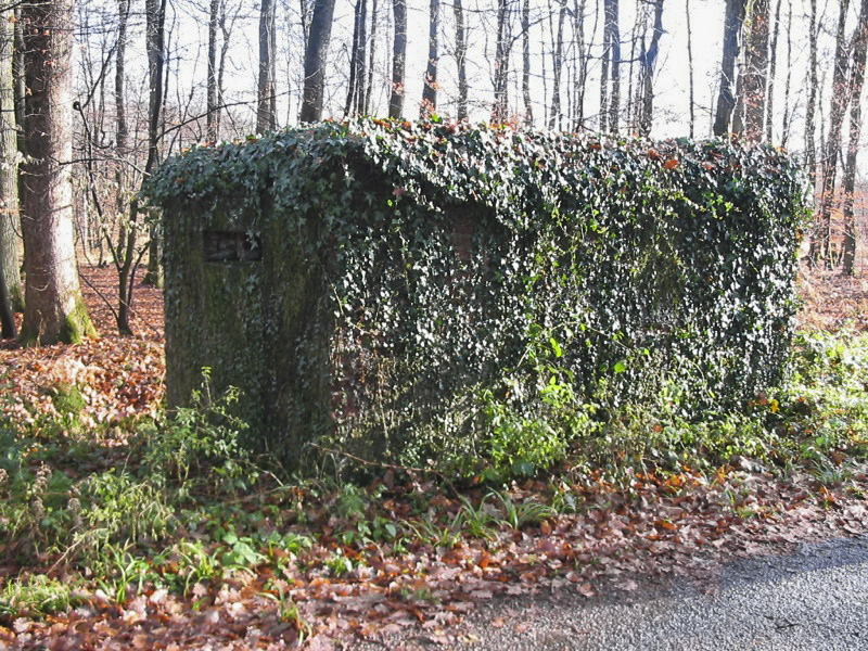 Ligne Maginot - ROUTE FORESTIERE DE LAUBACH 1 - (Blockhaus pour arme infanterie) - 