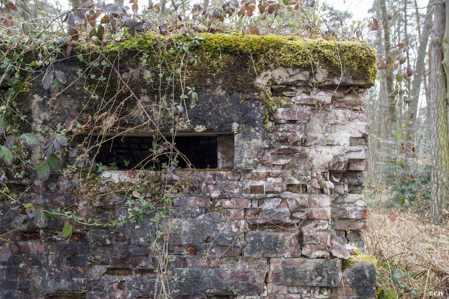 Ligne Maginot - ROUTE FORESTIERE DE LAUBACH 2 - (Blockhaus pour canon) -  - Lia VERMEULEN