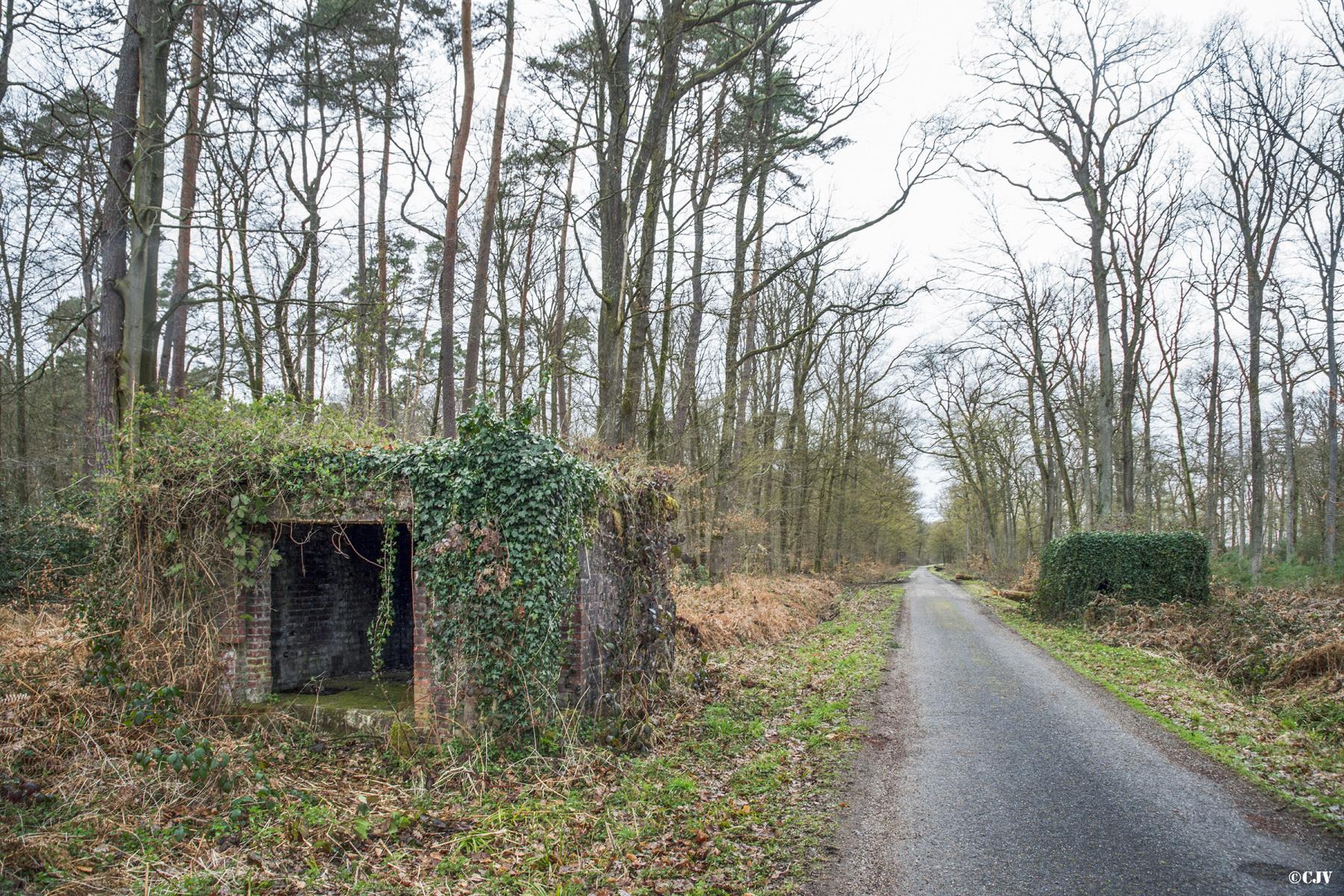 Ligne Maginot - ROUTE FORESTIERE DE LAUBACH 2 - (Blockhaus pour canon) - Vue du point d'appui avec les deux blockhaus de part et d'autre de la route - Lia VERMEULEN