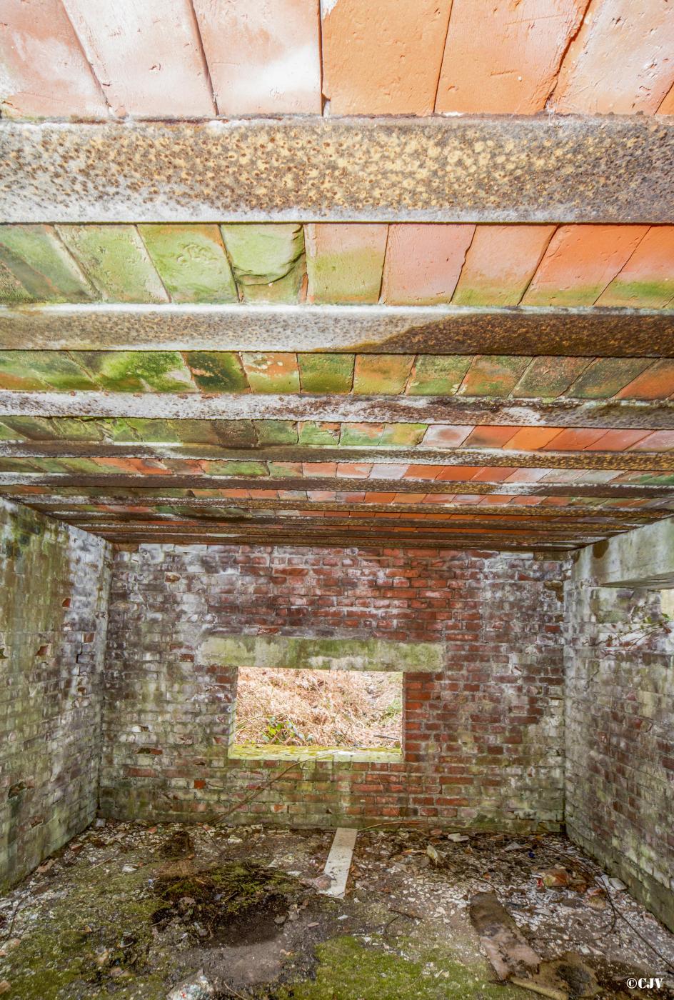 Ligne Maginot - ROUTE FORESTIERE DE LAUBACH 2 - (Blockhaus pour canon) -  - Lia VERMEULEN