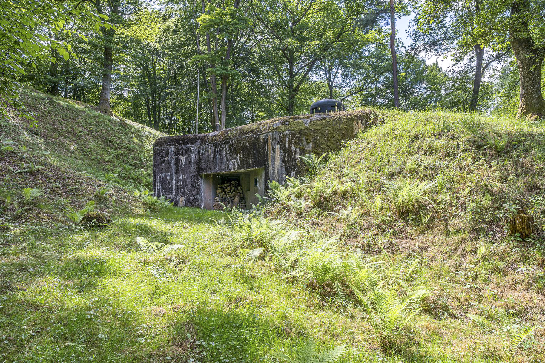 Ligne Maginot - DAMBACH SUD - C56 - (Casemate d'infanterie - Double) - Chambre de tir est
 - David Palmer