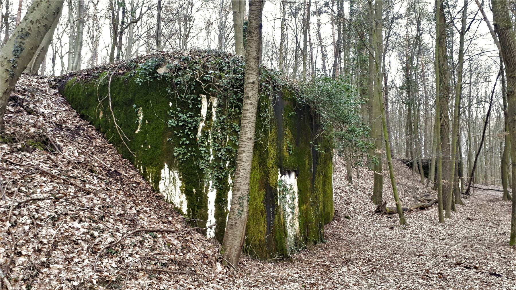 Ligne Maginot - WALKMUHL - (Abri) - Le coffre est - Gregory Fuchs