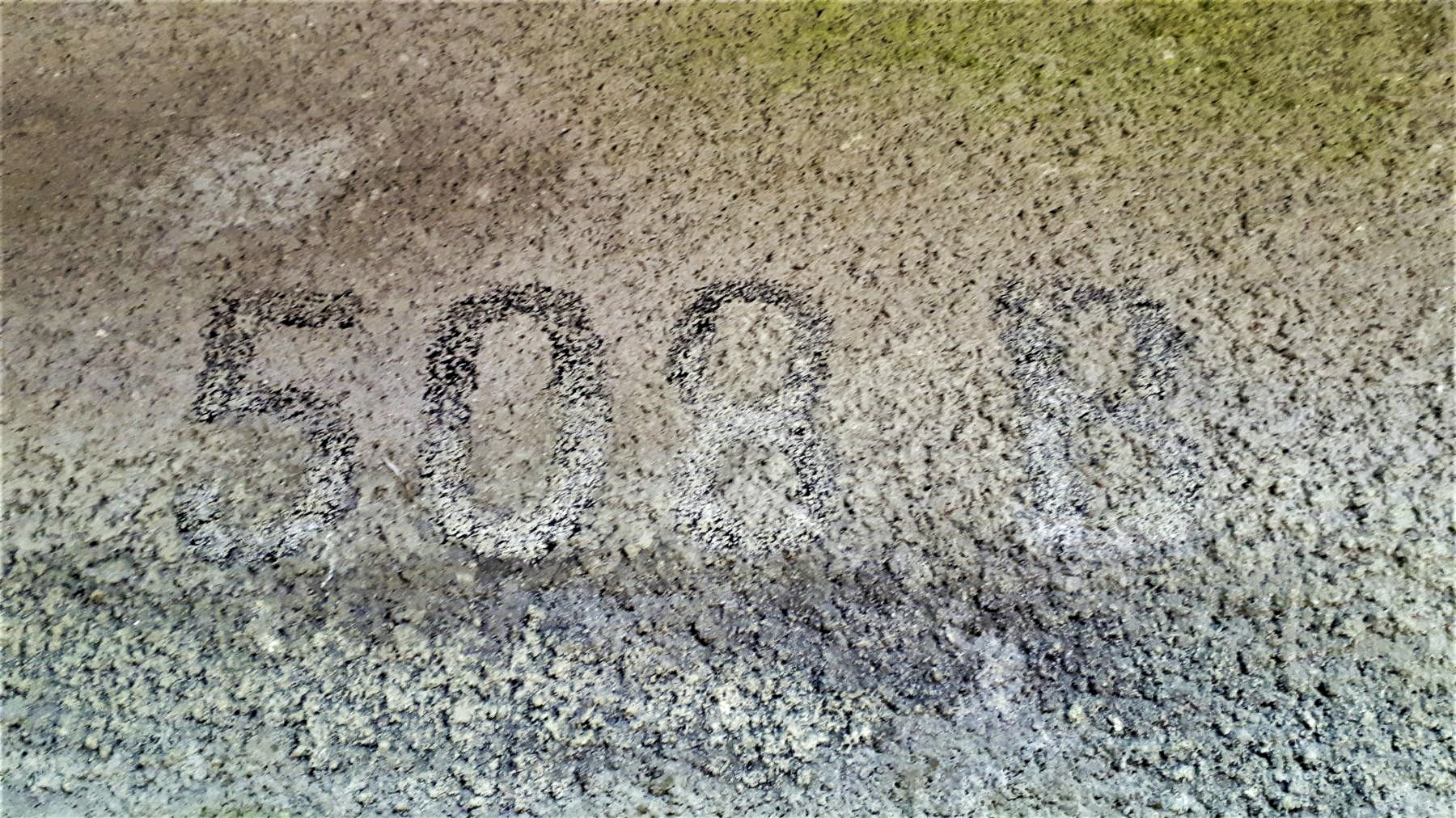 Ligne Maginot - WALKMUHL - (Abri) - Entrée Est
Marquage '508 B' au-dessus de l'entrée - Gregory Fuchs