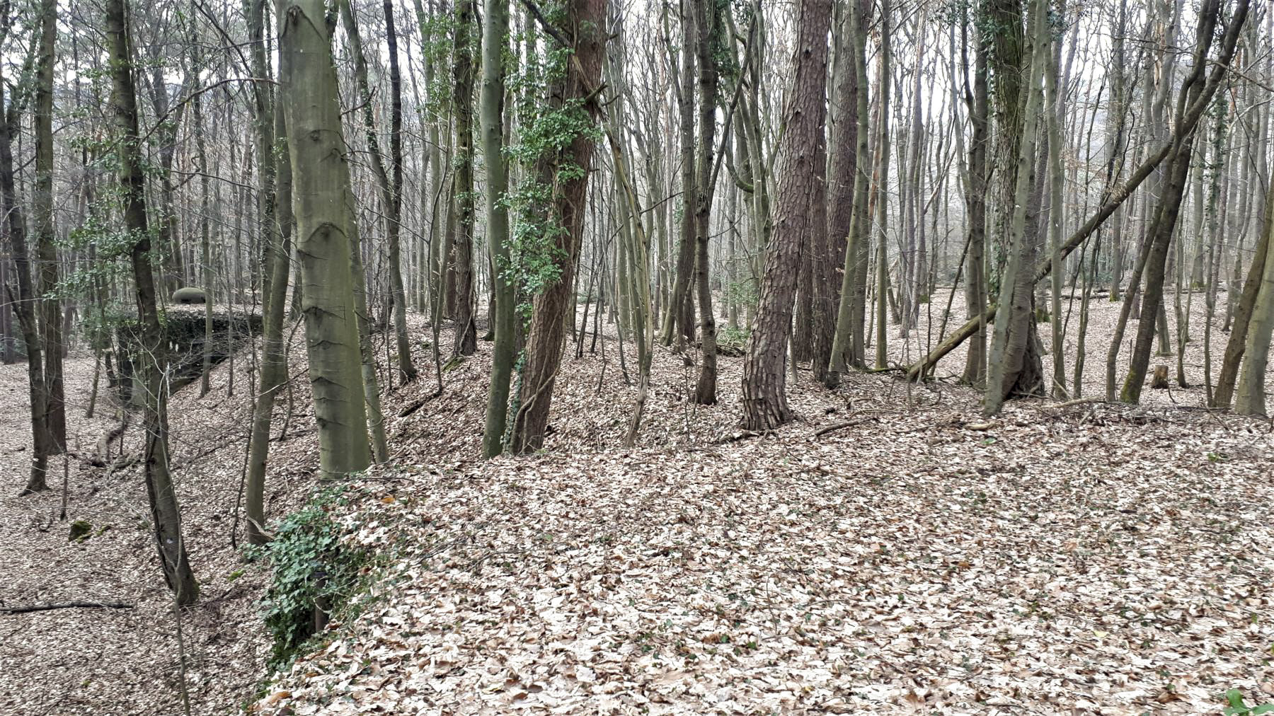 Ligne Maginot - WALKMUHL - (Abri) - Remblais entre les deux coffres - Gregory Fuchs
