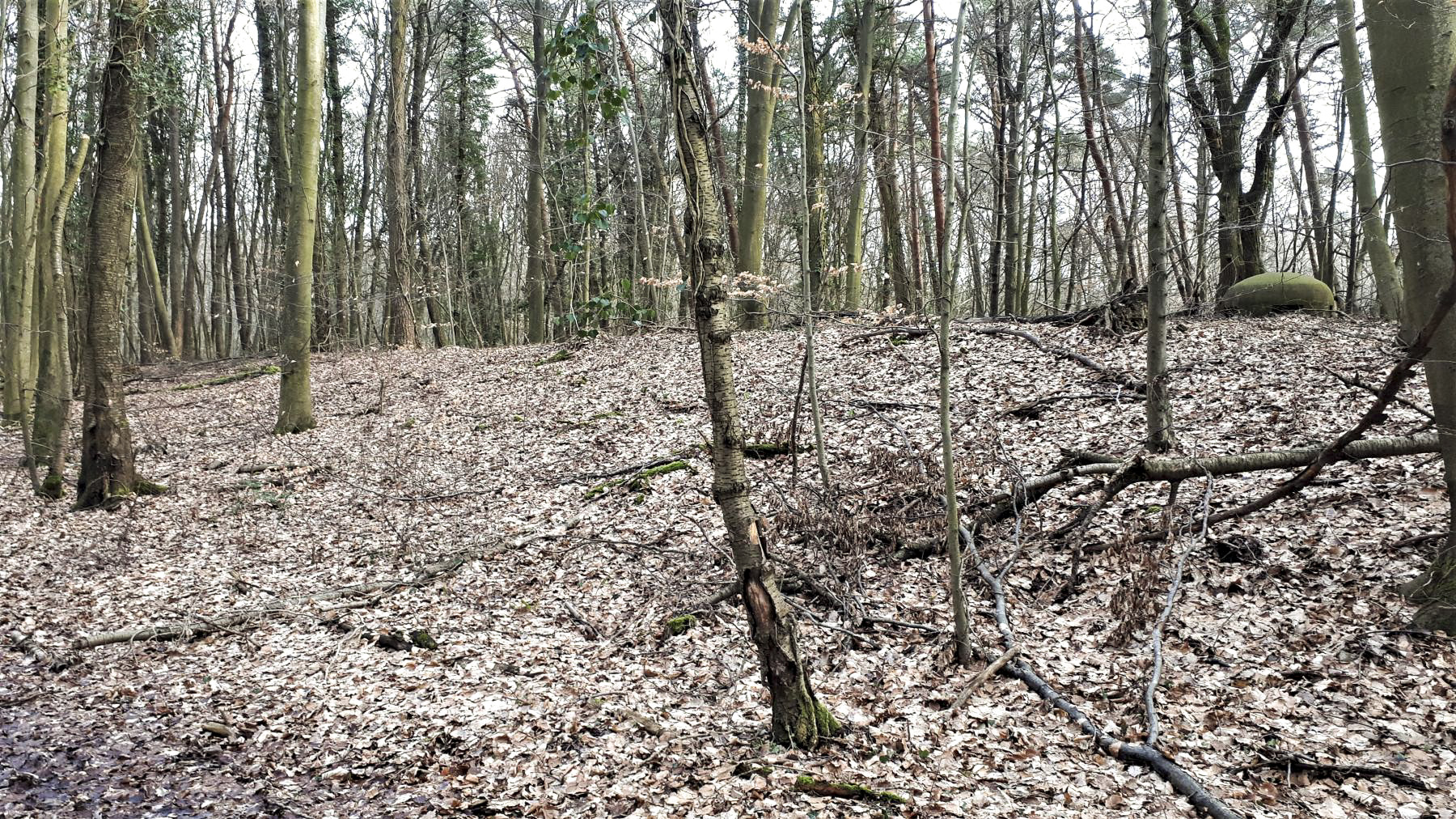Ligne Maginot - WALKMUHL - (Abri) - Remblais entre les deux coffres - Gregory Fuchs