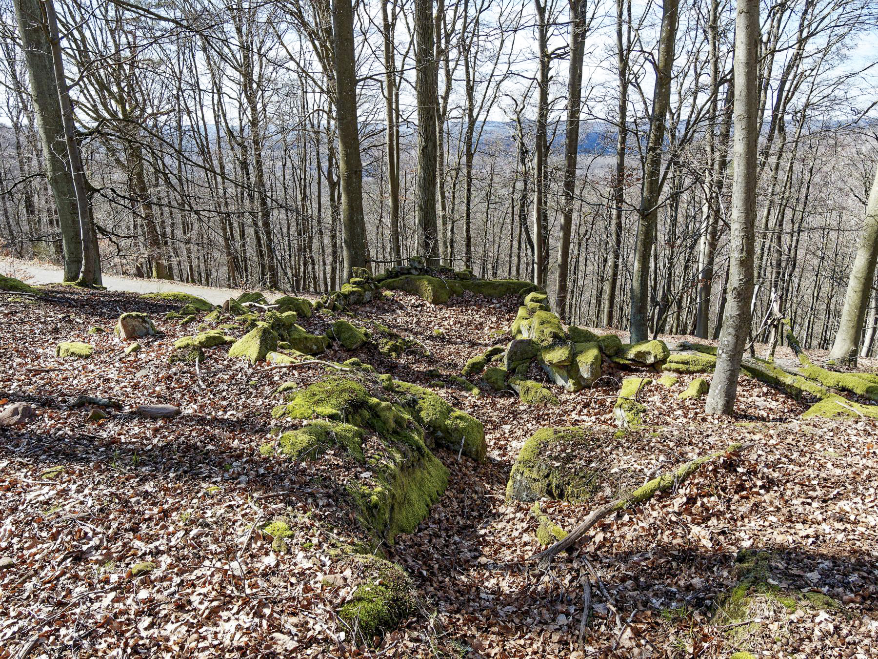 Ligne Maginot - PLATEAU D'EXIL (POINT D'APPUI) - (Divers) - 