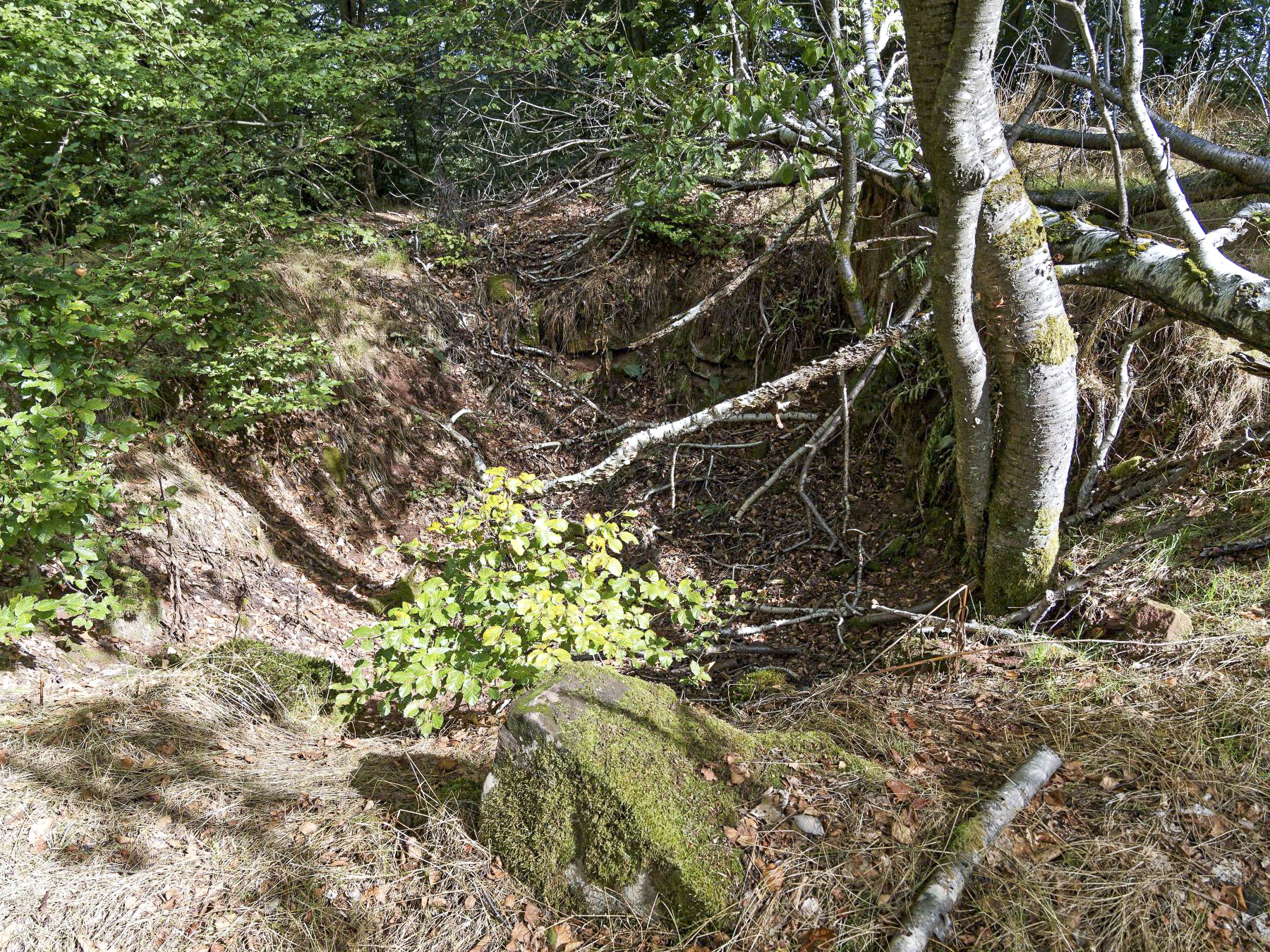 Ligne Maginot - KAMELSBERG (POINT D'APPUI) - (Divers) - Bunker de terre - Jürgen Morr