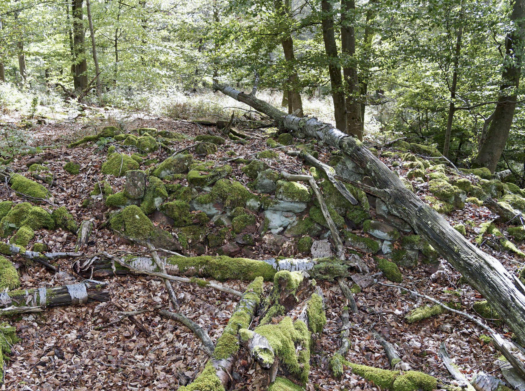 Ligne Maginot - KAMELSBERG -  - Jürgen Morr