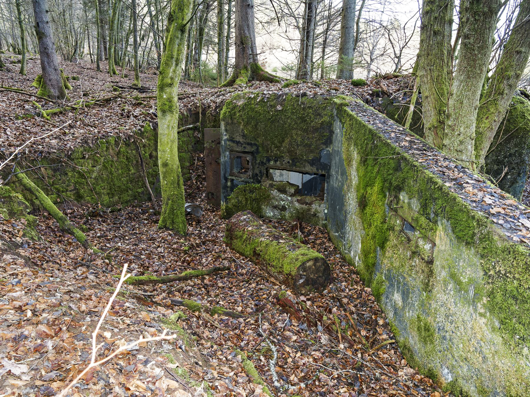 Ligne Maginot - NEUWEIHER 1 - (Blockhaus pour canon) - 