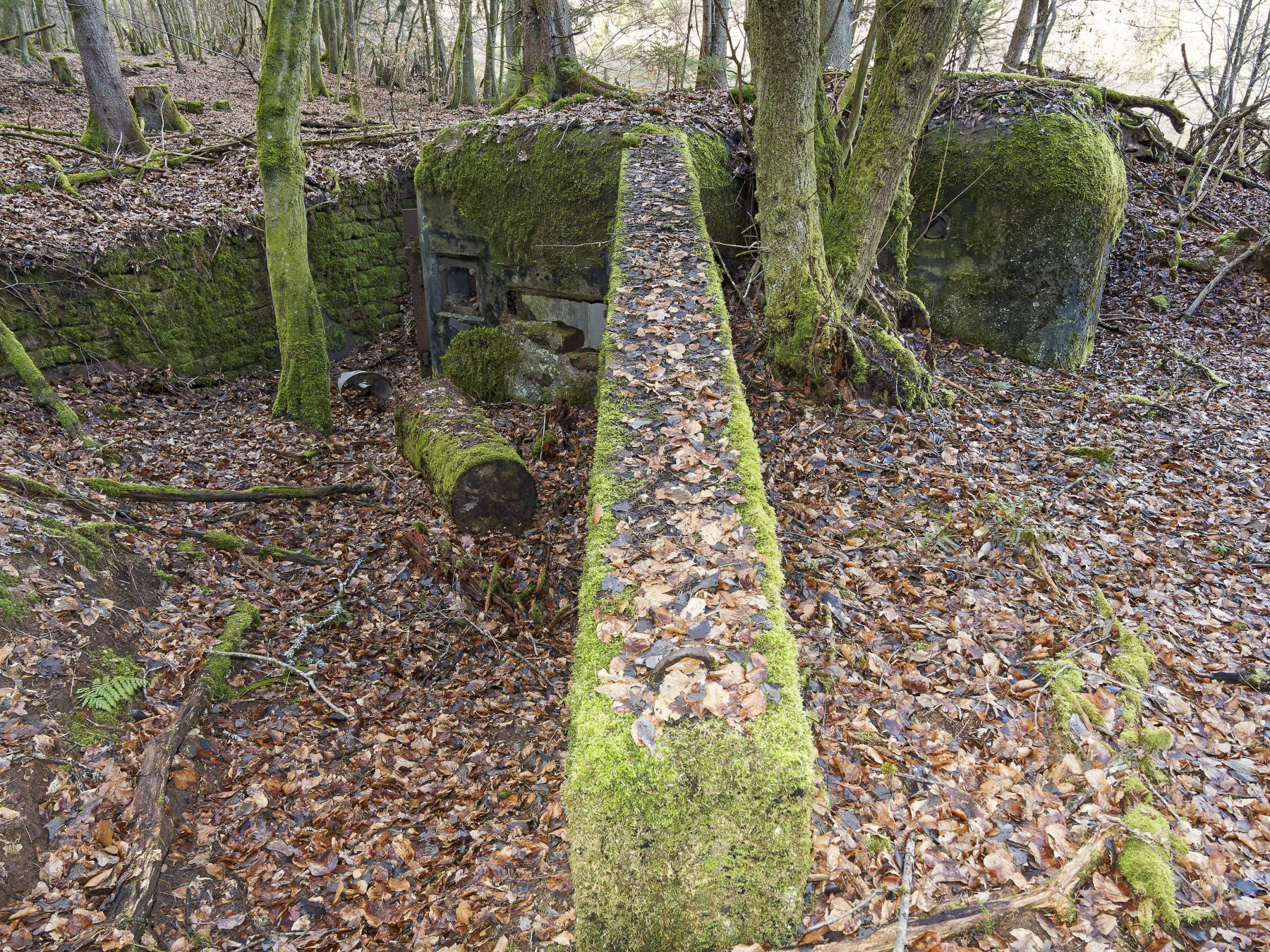 Ligne Maginot - NEUWEIHER 1 - (Blockhaus pour canon) - 