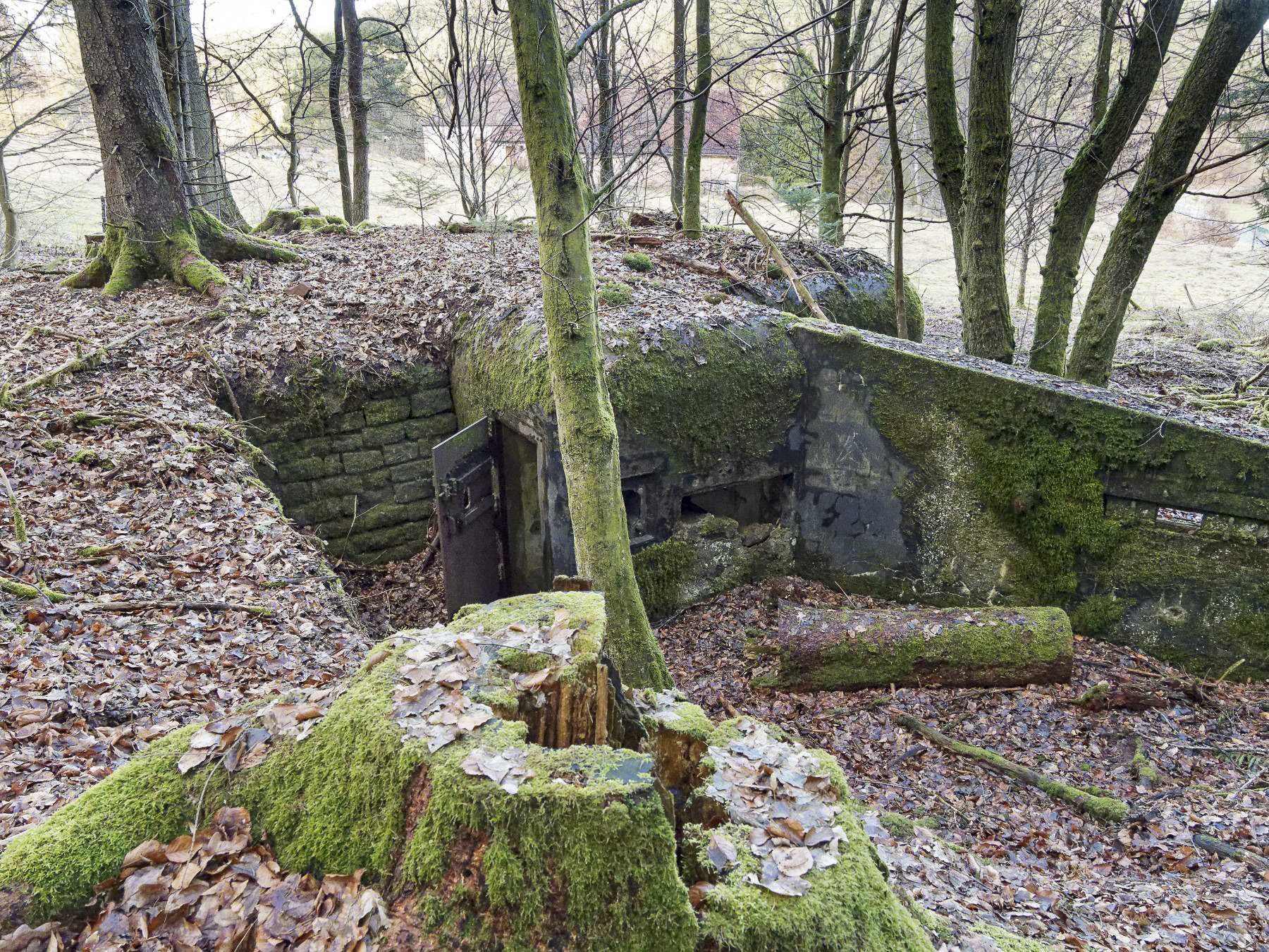 Ligne Maginot - NEUWEIHER 1 - (Blockhaus pour canon) - Le coté entrée et dispositif de mise à feu du DMP