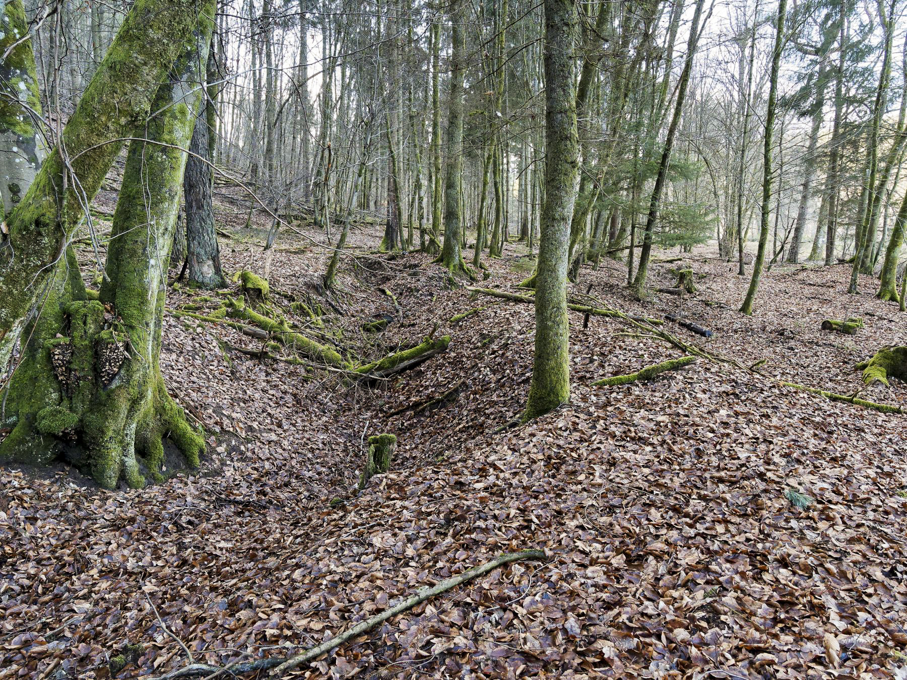 Ligne Maginot - NEUWEIHER 1 - (Blockhaus pour canon) - Tranchée sur l'arrière du blockhaus à proximité