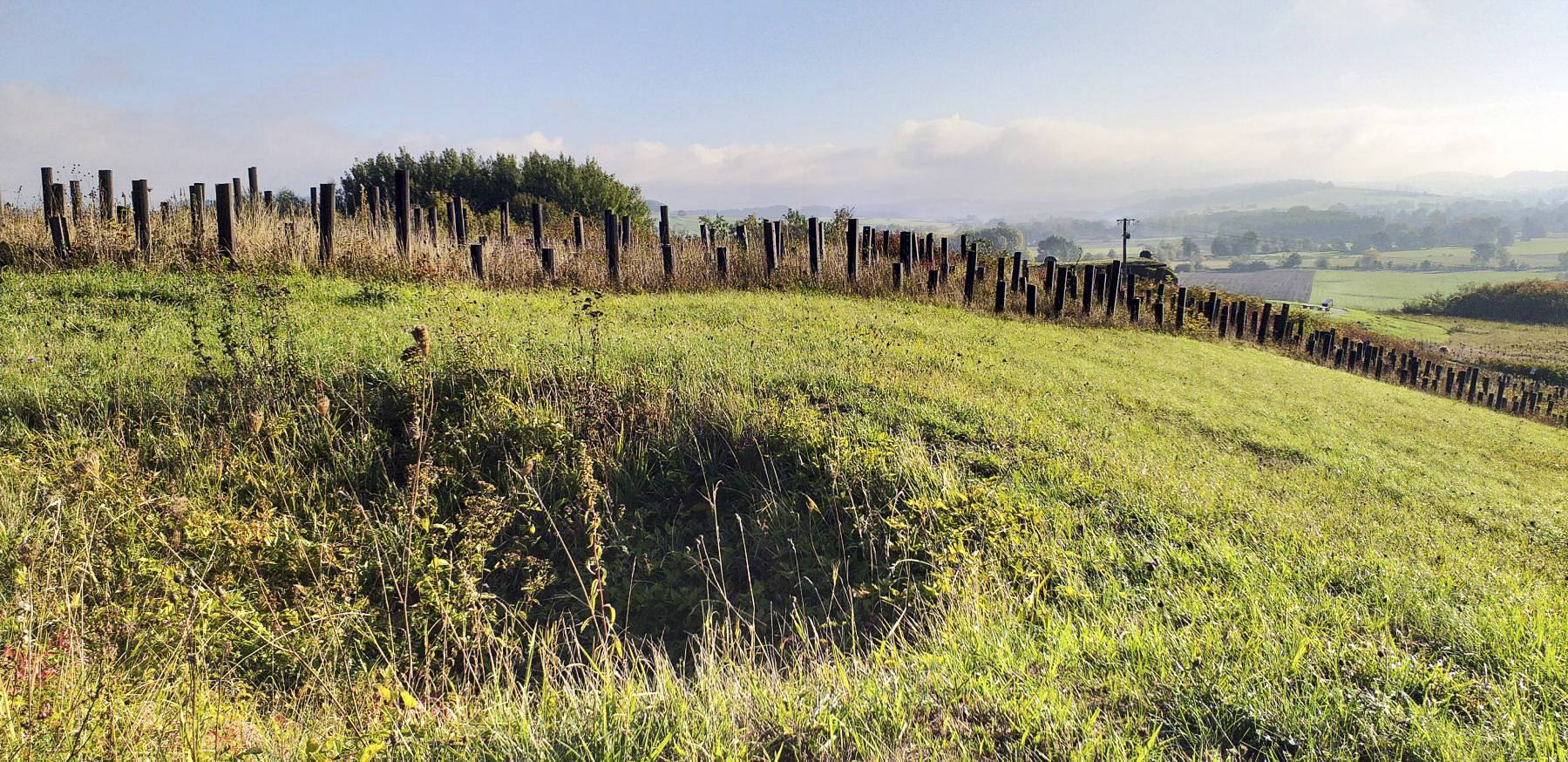 Ligne Maginot - LA FERTE - (Ouvrage d'infanterie) - Entonnoir à proximité du réseau antichar du bloc 1 - Gregory Fuchs