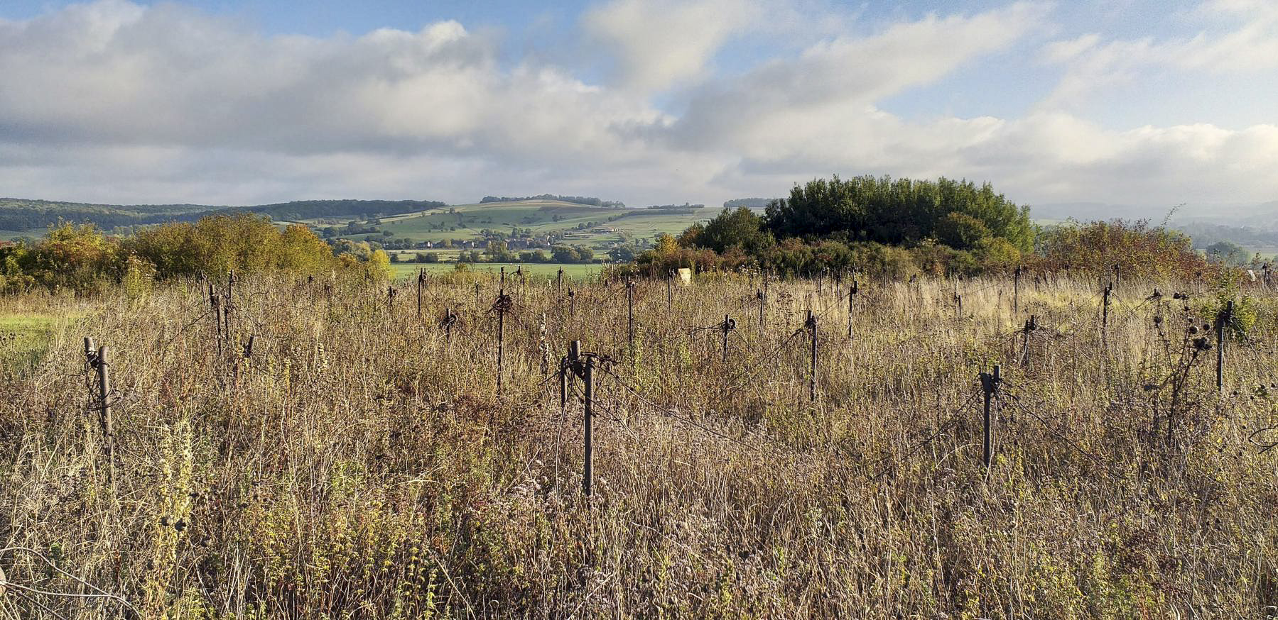 Ligne Maginot - LA FERTE - (Ouvrage d'infanterie) - Réseau barbelés - Gregory Fuchs