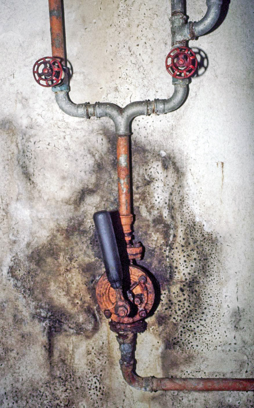 Ligne Maginot - BIRLENBACH - (Abri) - Usine électrique - ammagsdr