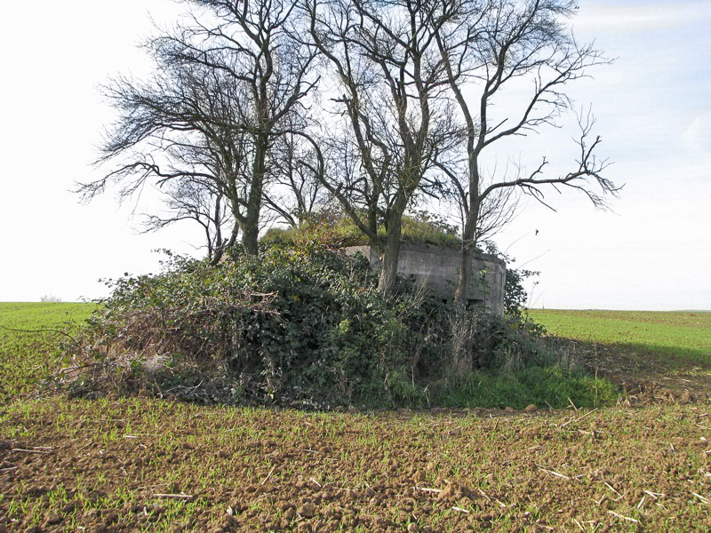 Ligne Maginot - BEIMERACKER - (Blockhaus pour arme infanterie) - Vue générale extérieure