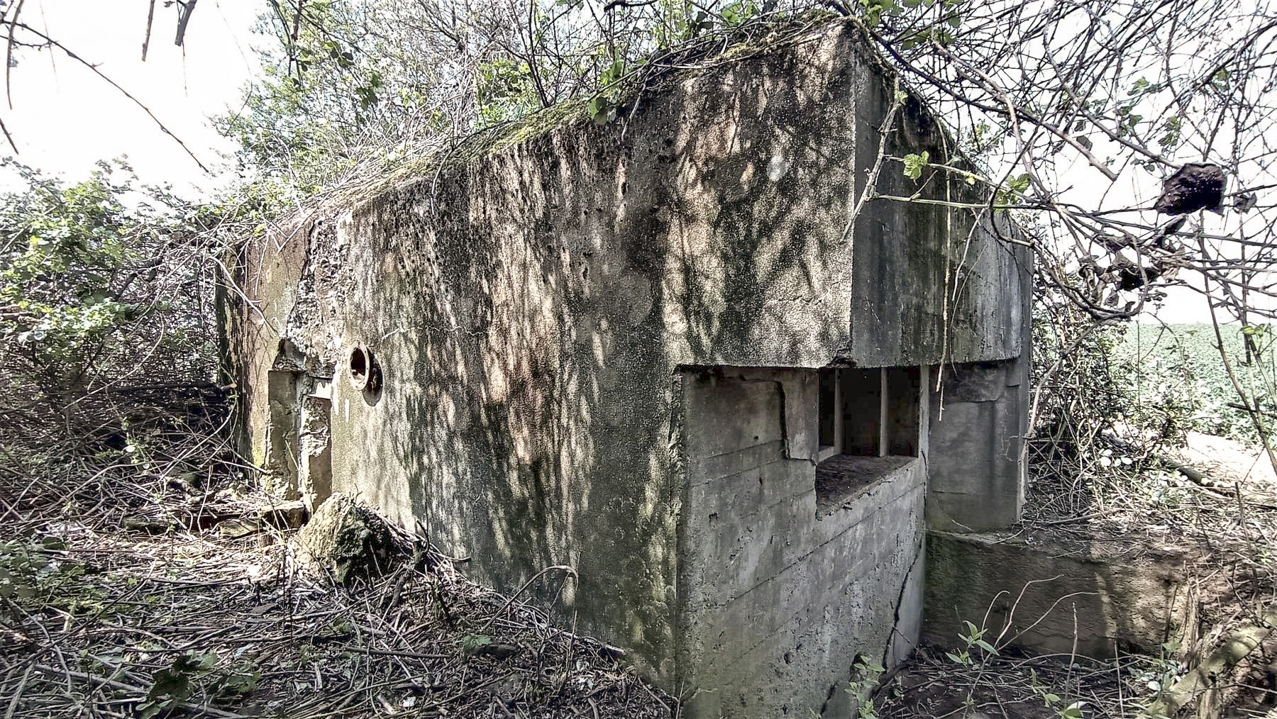 Ligne Maginot - BEIMERACKER - (Blockhaus pour arme infanterie) - Vu sur le créneau et l'entrée