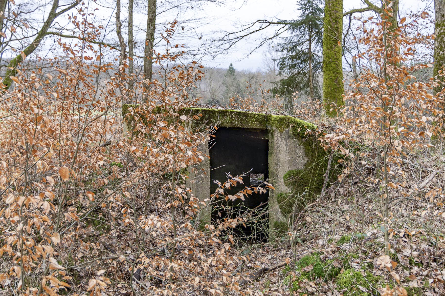 Ligne Maginot - FEEWALD - (Blockhaus pour arme infanterie) -  - Lenhard Christian