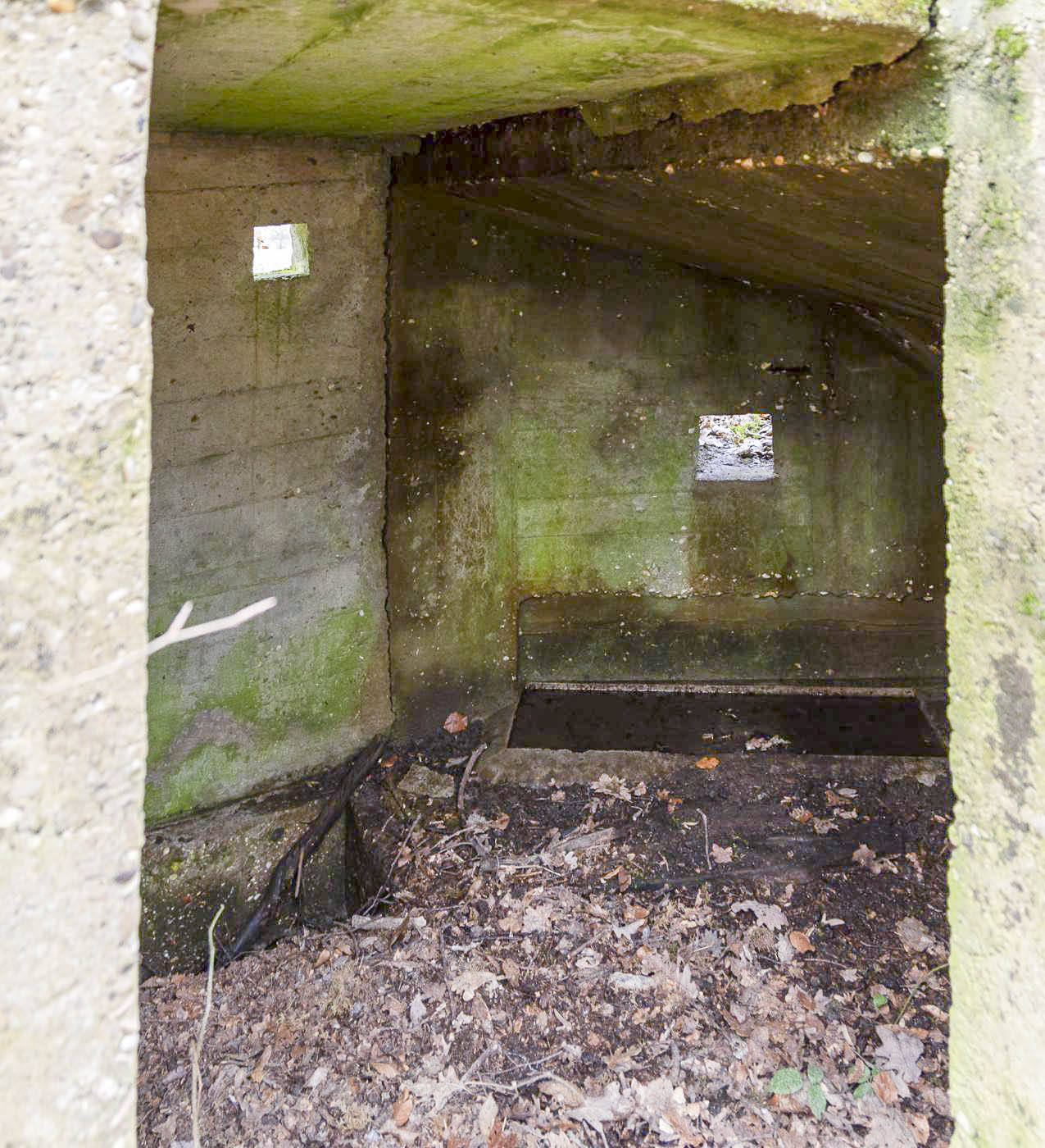 Ligne Maginot - FEEWALD - (Blockhaus pour arme infanterie) -  - Lenhard Christian