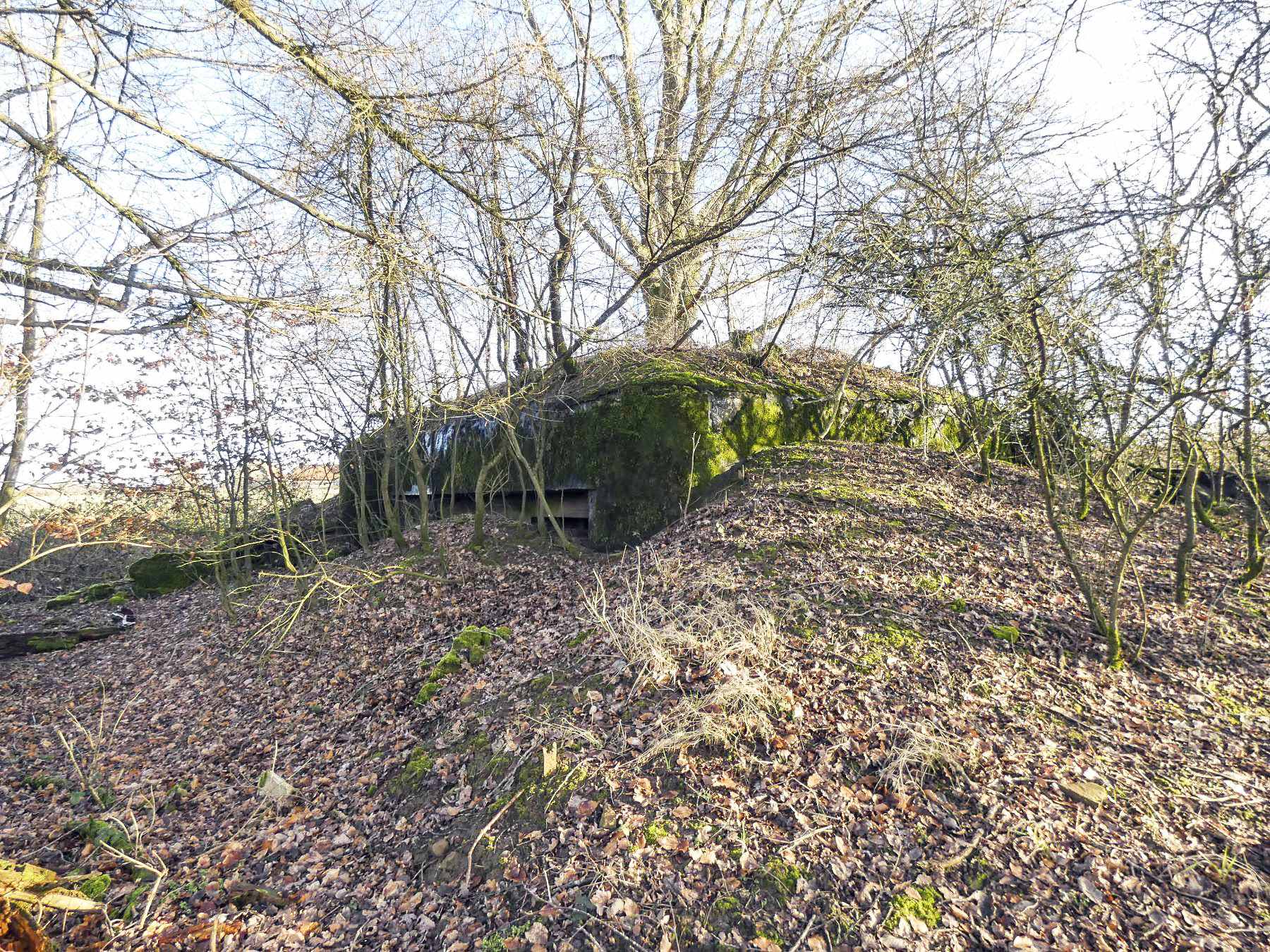 Ligne Maginot - LEGERET NORD 1 - C55-B - (Blockhaus pour canon) - La façade Nord du blockhaus. - STENGER Mathieu
