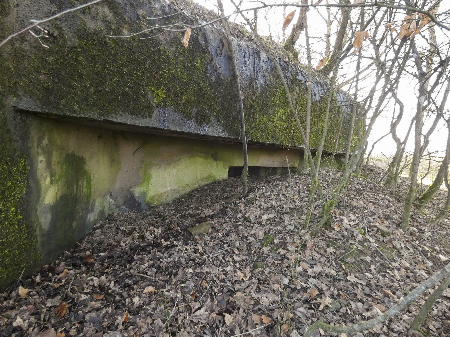 Ligne Maginot - LEGERET NORD 1 - C55-B - (Blockhaus pour canon) - La façade de tir pour mitrailleuse en partie remblayée. - STENGER Mathieu