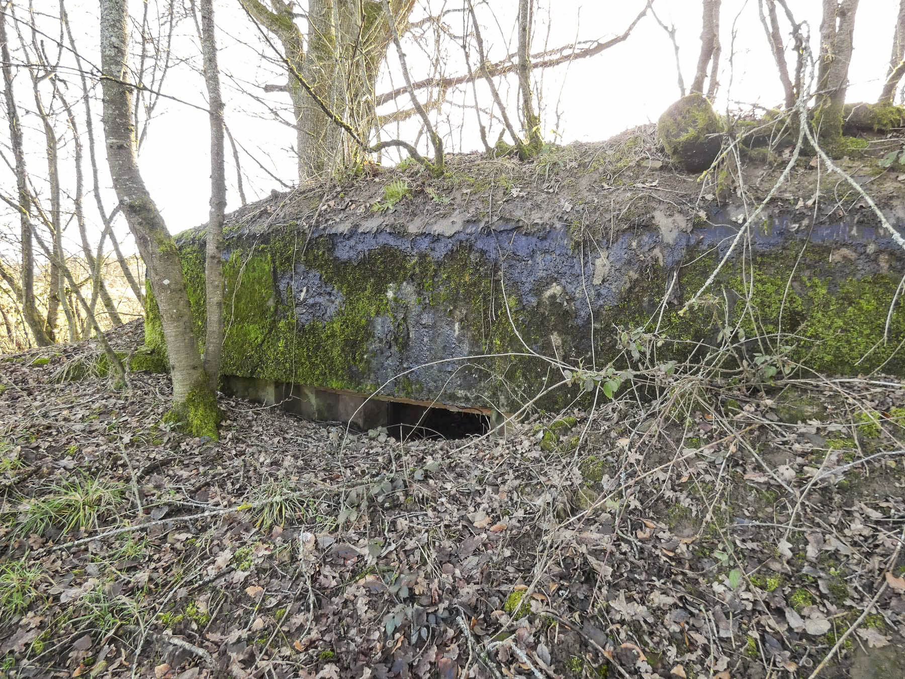 Ligne Maginot - LEGERET NORD 1 - C55-B - (Blockhaus pour canon) - Le créneaux pour le canon anti-char de 25. - STENGER Mathieu