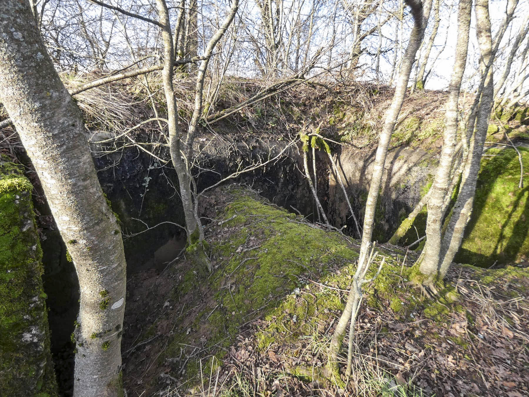 Ligne Maginot - LEGERET NORD 1 - C55-B - (Blockhaus pour canon) - La façade des entrées en partie remblayée. Les entrées hommes et matériel se font face. - STENGER Mathieu