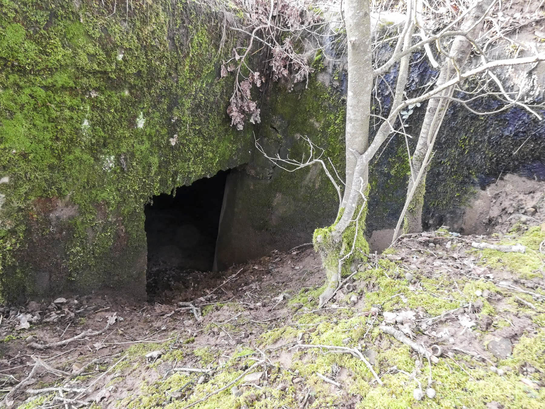 Ligne Maginot - LEGERET NORD 1 - C55-B - (Blockhaus pour canon) - L'entrée hommes. - STENGER Mathieu