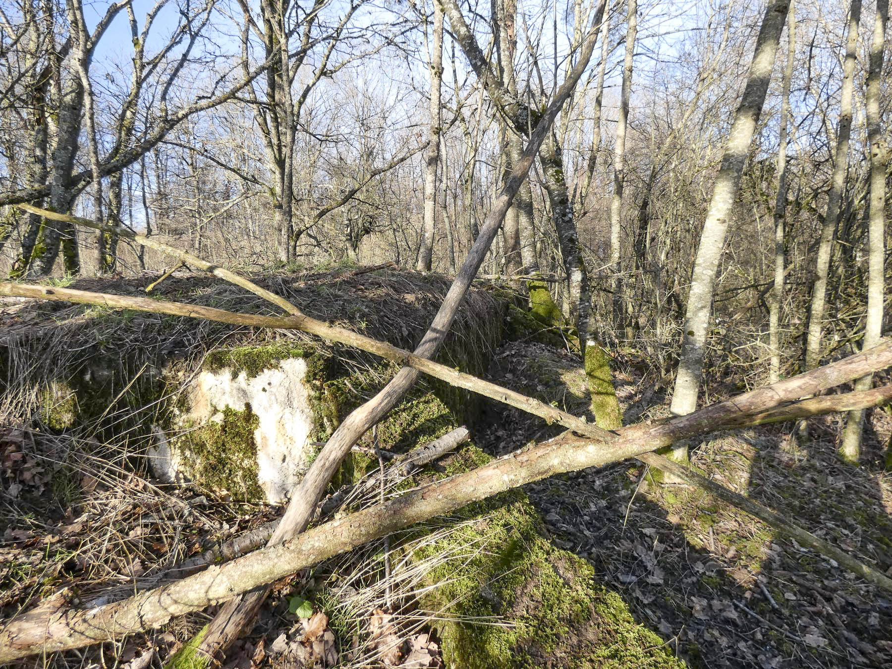 Ligne Maginot - LEGERET NORD 2 - GM1 - (Blockhaus pour arme infanterie) - Le blockhaus en 2024. - STENGER Mathieu