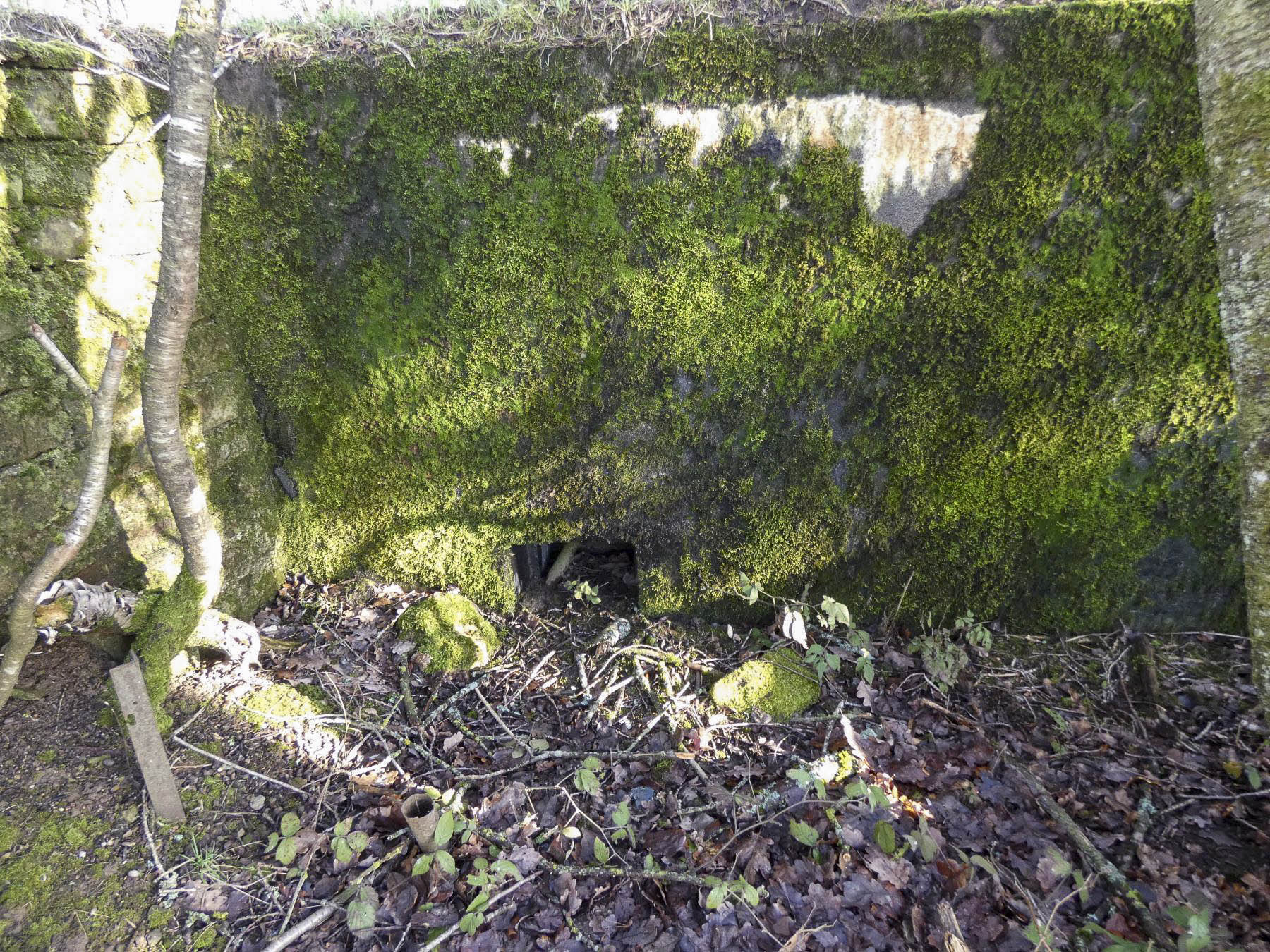 Ligne Maginot - LEGERET NORD 2 - GM1 - (Blockhaus pour arme infanterie) - Le deuxième créneau orienté vers l'Ouest. - STENGER Mathieu