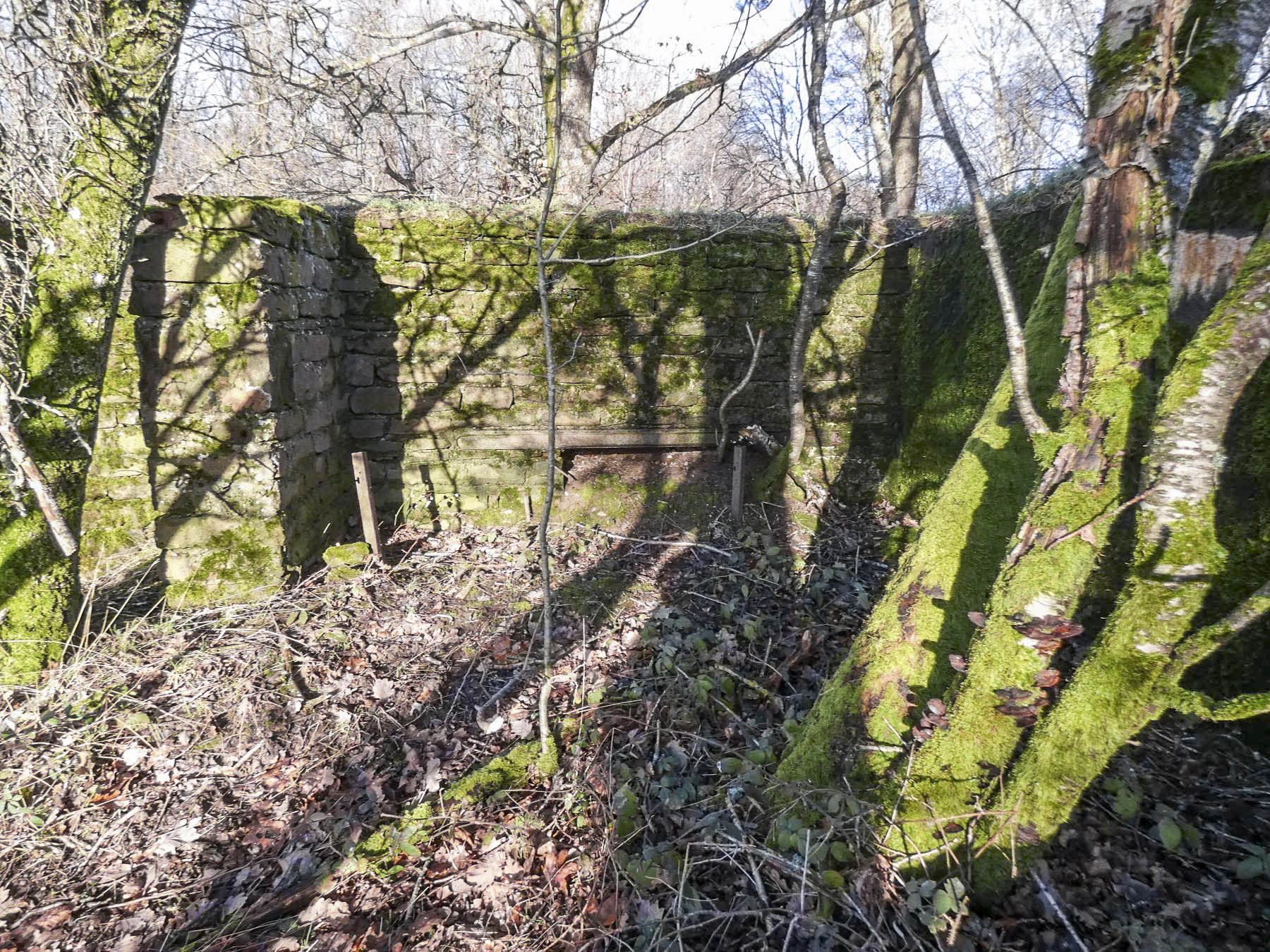 Ligne Maginot - LEGERET NORD 2 - GM1 - (Blockhaus pour arme infanterie) - Une niche à matériel dans le mur en pierre. - STENGER Mathieu