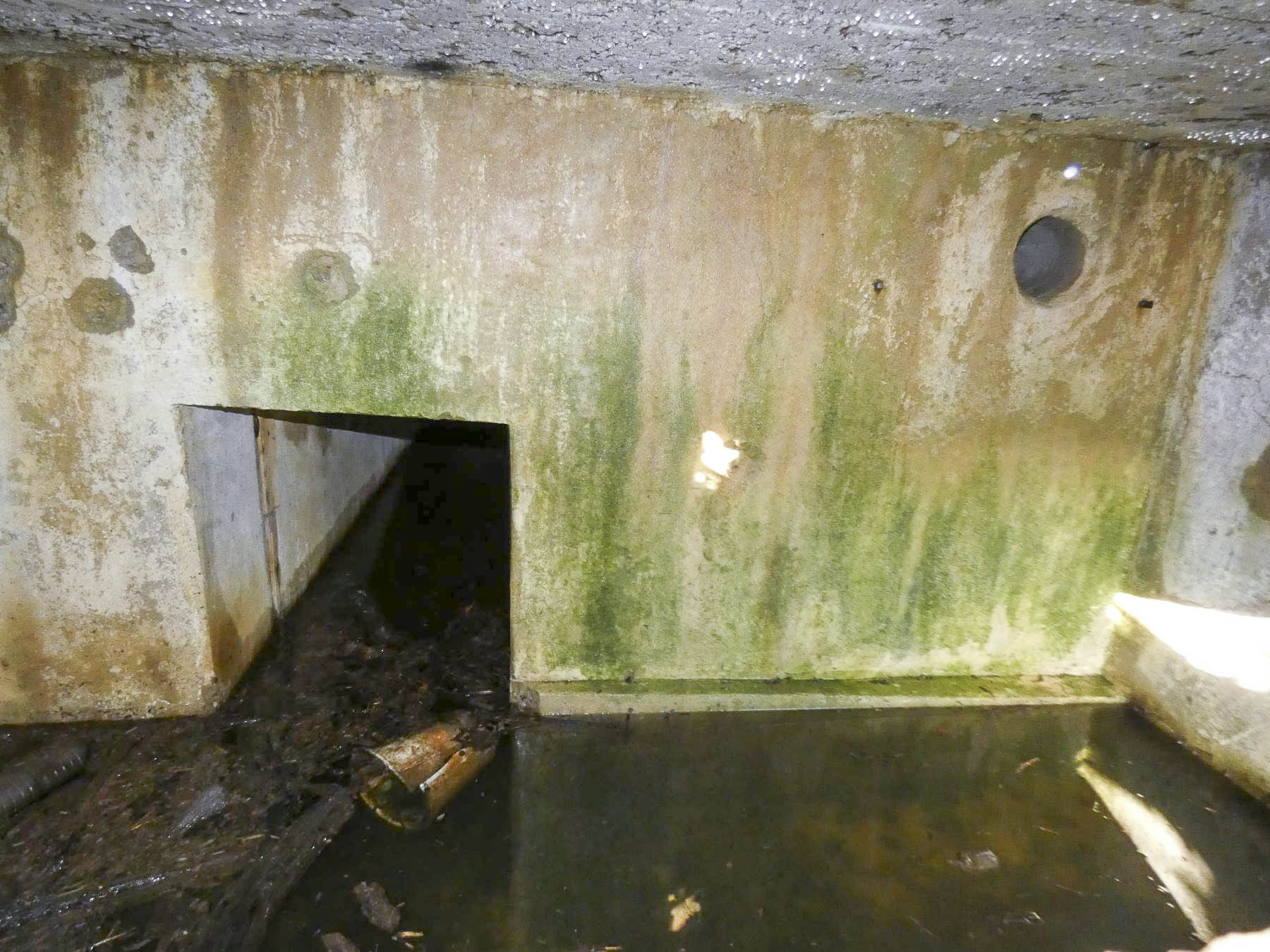 Ligne Maginot - LEGERET NORD 2 - GM1 - (Blockhaus pour arme infanterie) - La première chambre de tir inondée. - STENGER Mathieu