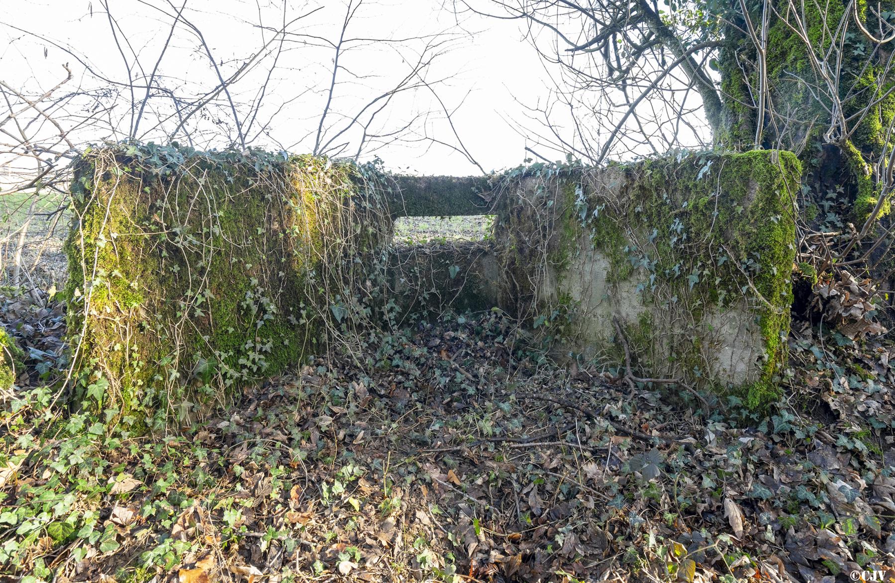 Ligne Maginot - PINAUSET - (Blockhaus pour arme infanterie) -  - Lia Vermeulen