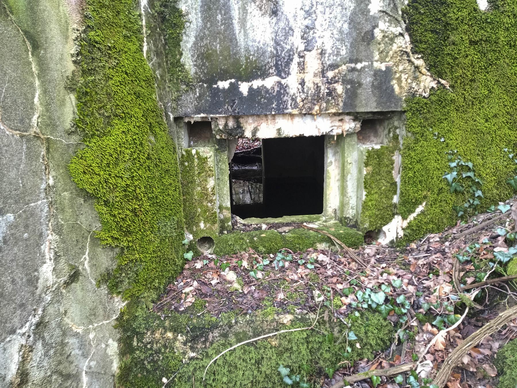 Ligne Maginot - DB346 - GRAND BOIS SUD - (Blockhaus pour arme infanterie) -  - Marc Fossoul