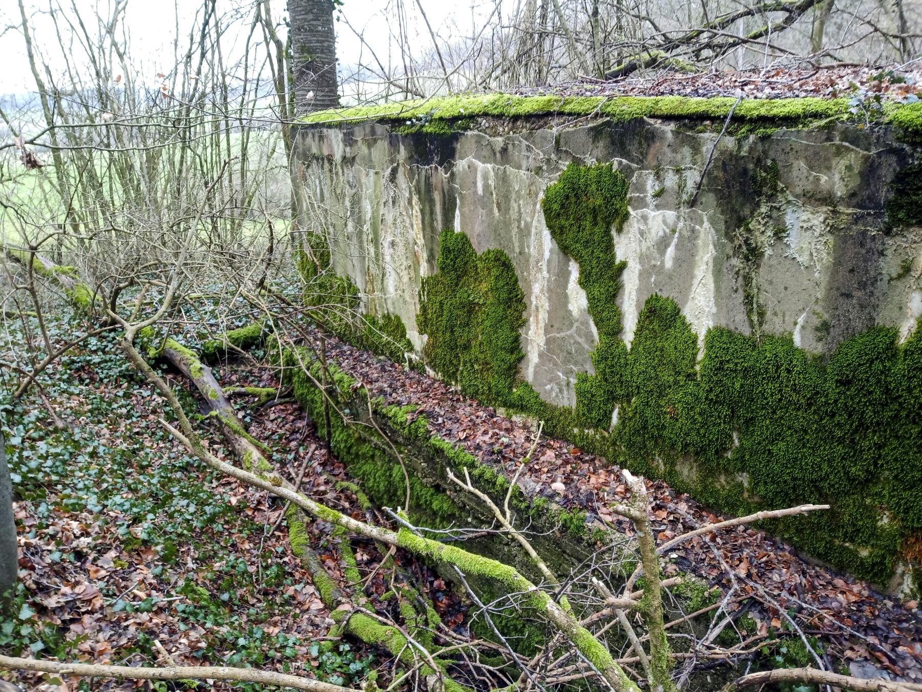 Ligne Maginot - DB346 - GRAND BOIS SUD - (Blockhaus pour arme infanterie) -  - Marc Fossoul