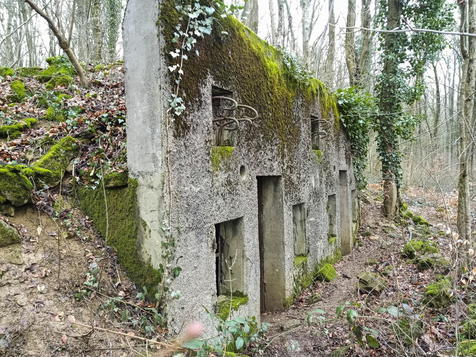 Ligne Maginot - GRAND BOIS OUEST - (PC) -  - Marc Fossoul