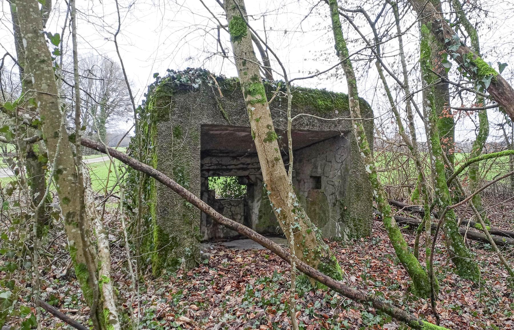 Ligne Maginot - DBO5 - (Blockhaus pour canon) -  - Marc Fossoul