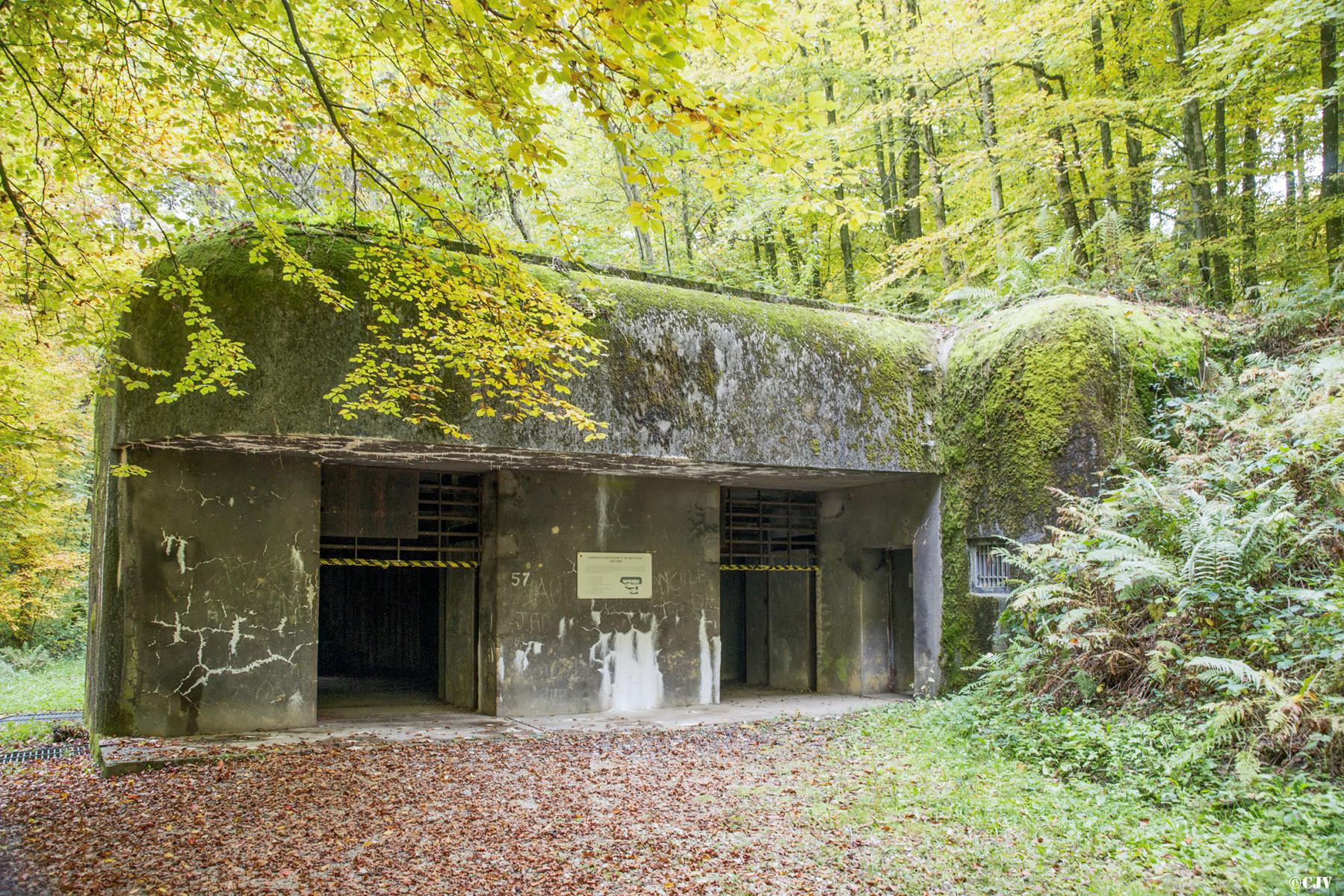 Ligne Maginot - 110 - BETTLACH - (Casemate d'artillerie) - Les deux entrées pour les pièces, normalement obturées par des poutrelles acier empilées et l'entrée pour le personnel sur la droite - Lia VERMEULEN