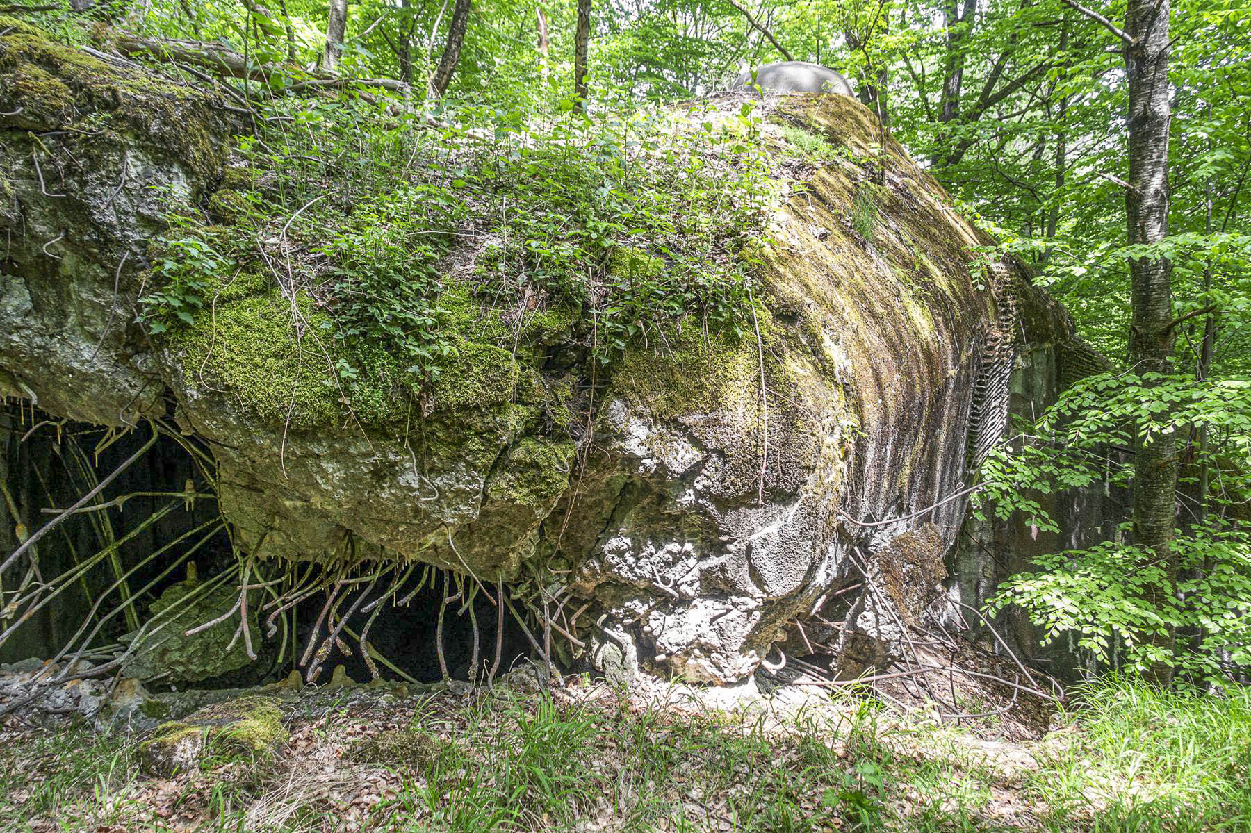 Ligne Maginot - HOCHWALD C6 - (Casemate d'infanterie - Double) - La façade de la chambre de tir haute - David Palmer