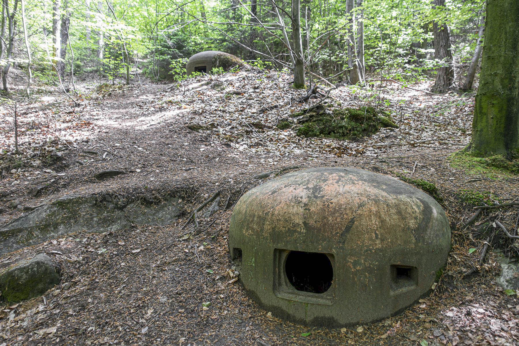 Ligne Maginot - HOCHWALD C2 - (Casemate d'infanterie - Simple) - Cloche JM et GFM - David Palmer