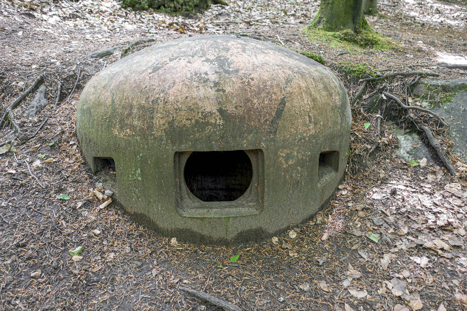 Ligne Maginot - HOCHWALD C2 - (Casemate d'infanterie - Simple) - Cloche JM - David Palmer