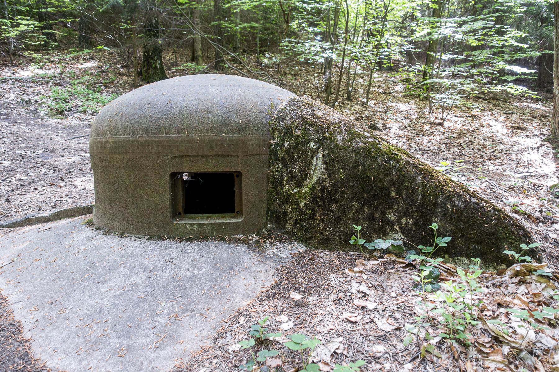 Ligne Maginot - HOCHWALD C2 - (Casemate d'infanterie - Simple) - Cloche GFM - David Palmer